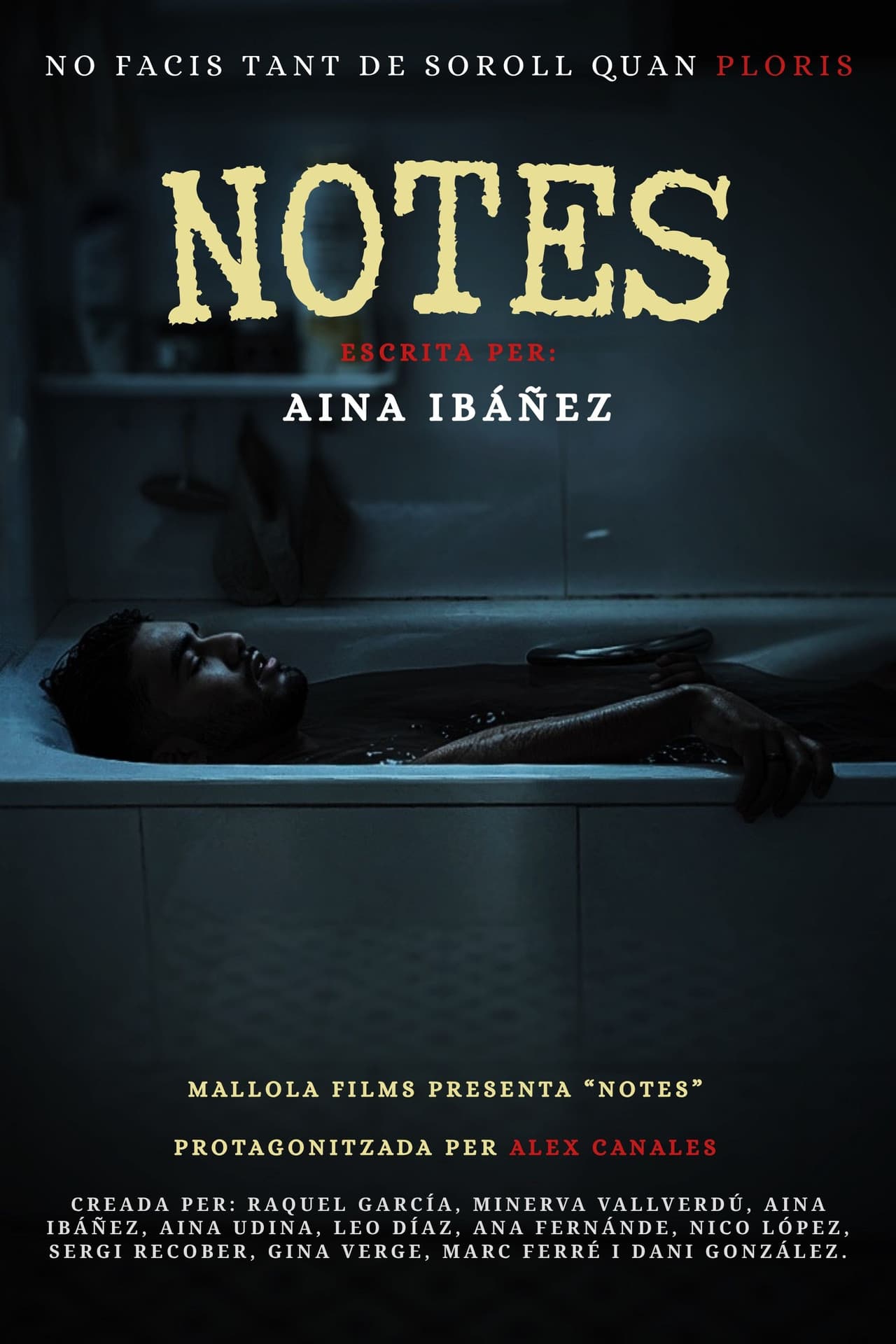 Notes preview 2