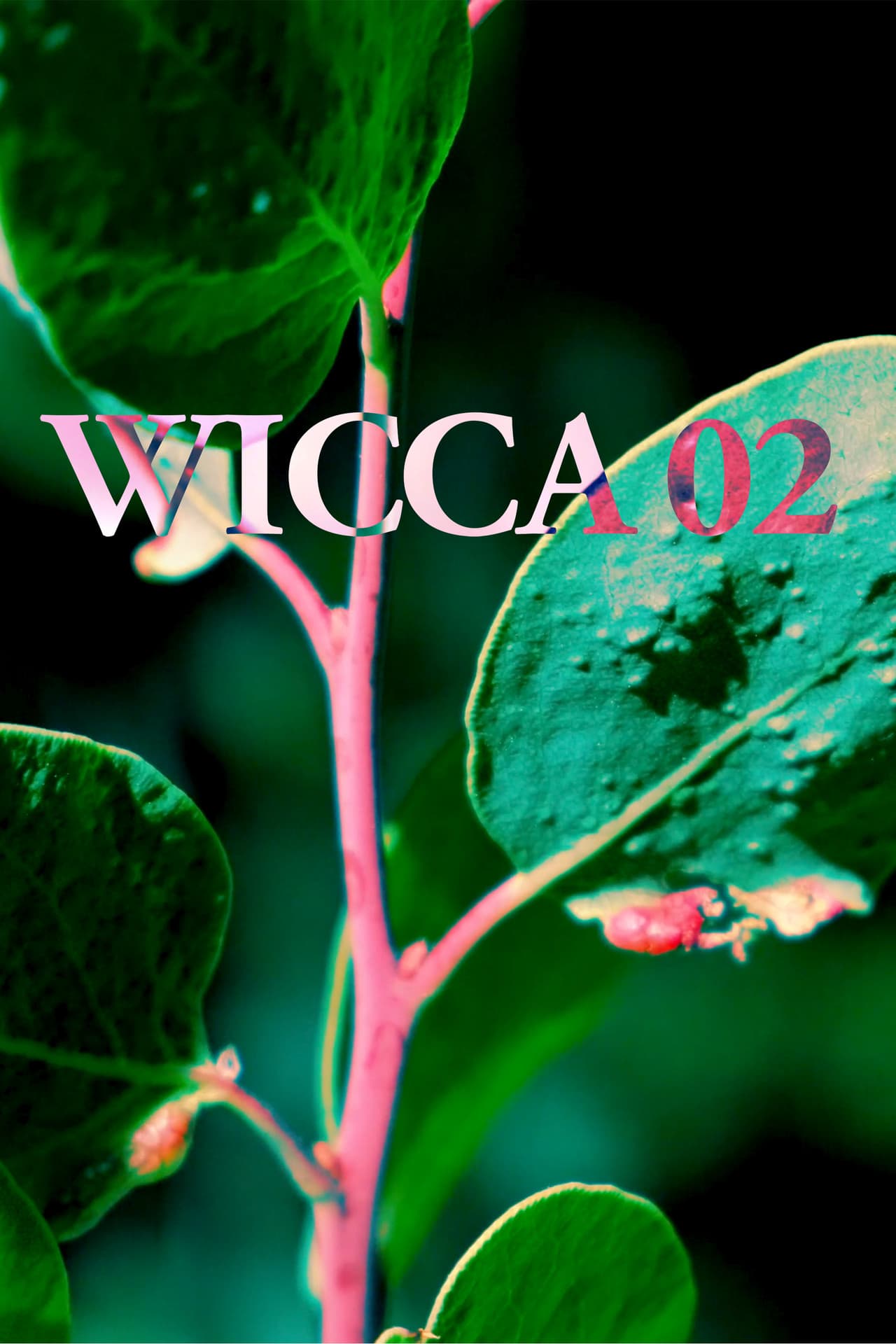 WICCA_02 preview 1
