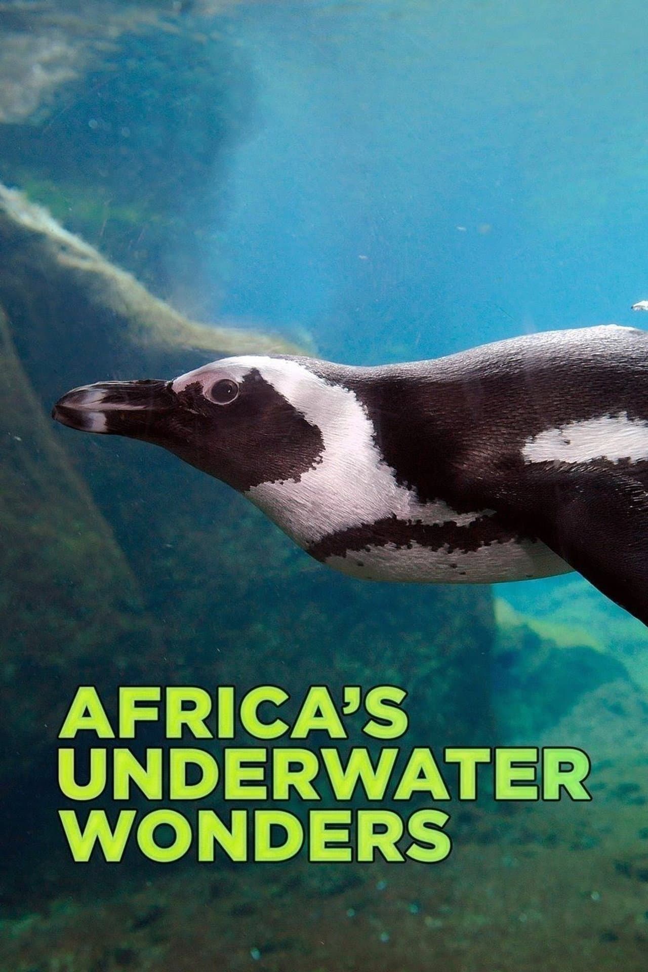 Africa's Underwater Wonders preview 2