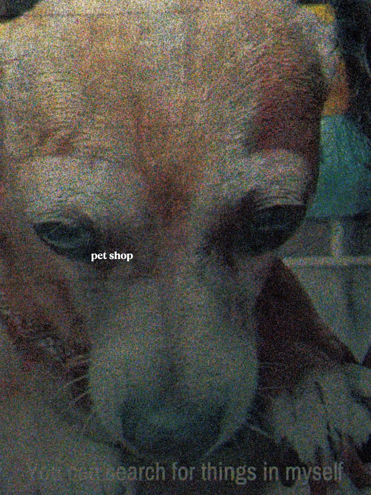 Pet Shop preview 2