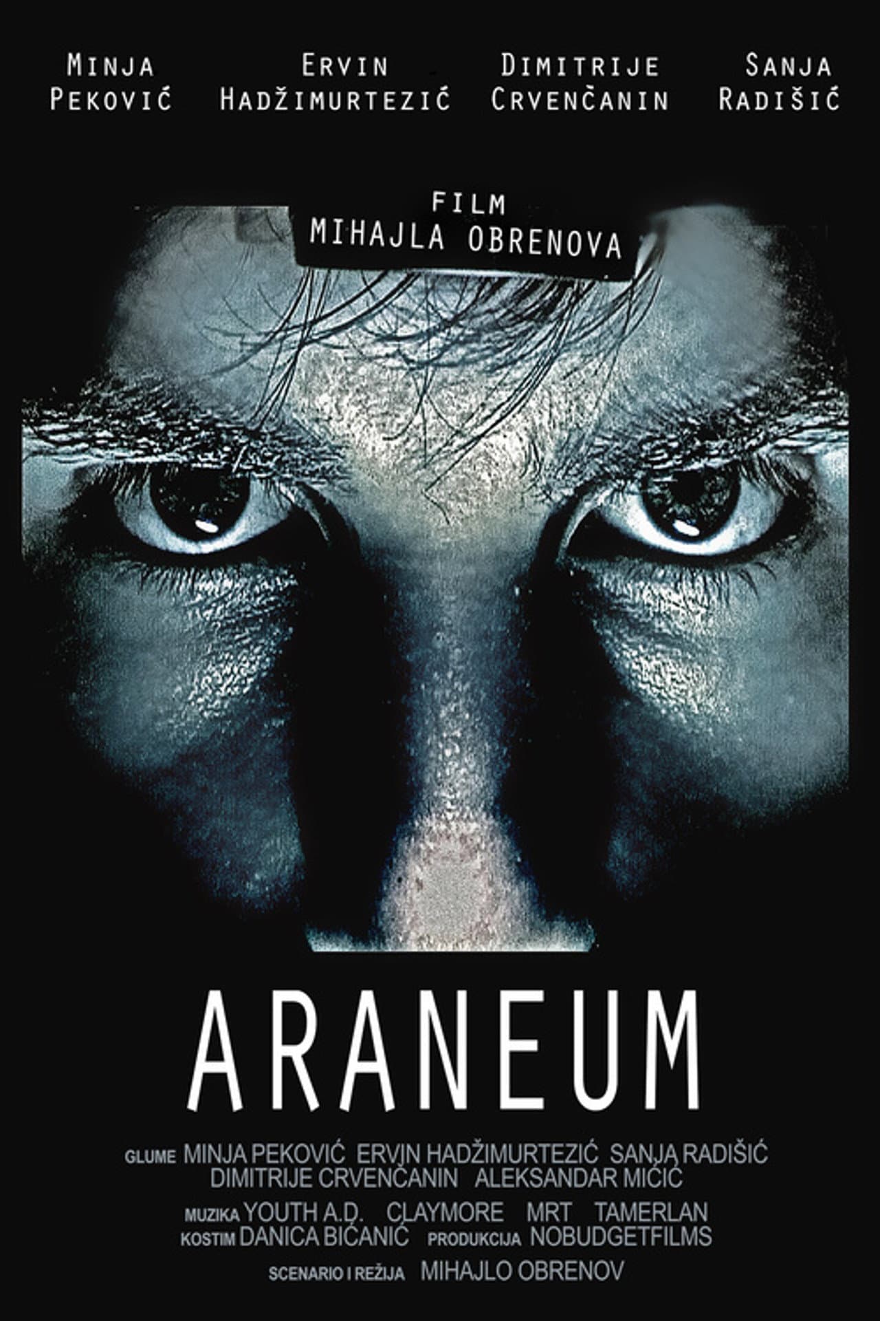 Araneum preview 1