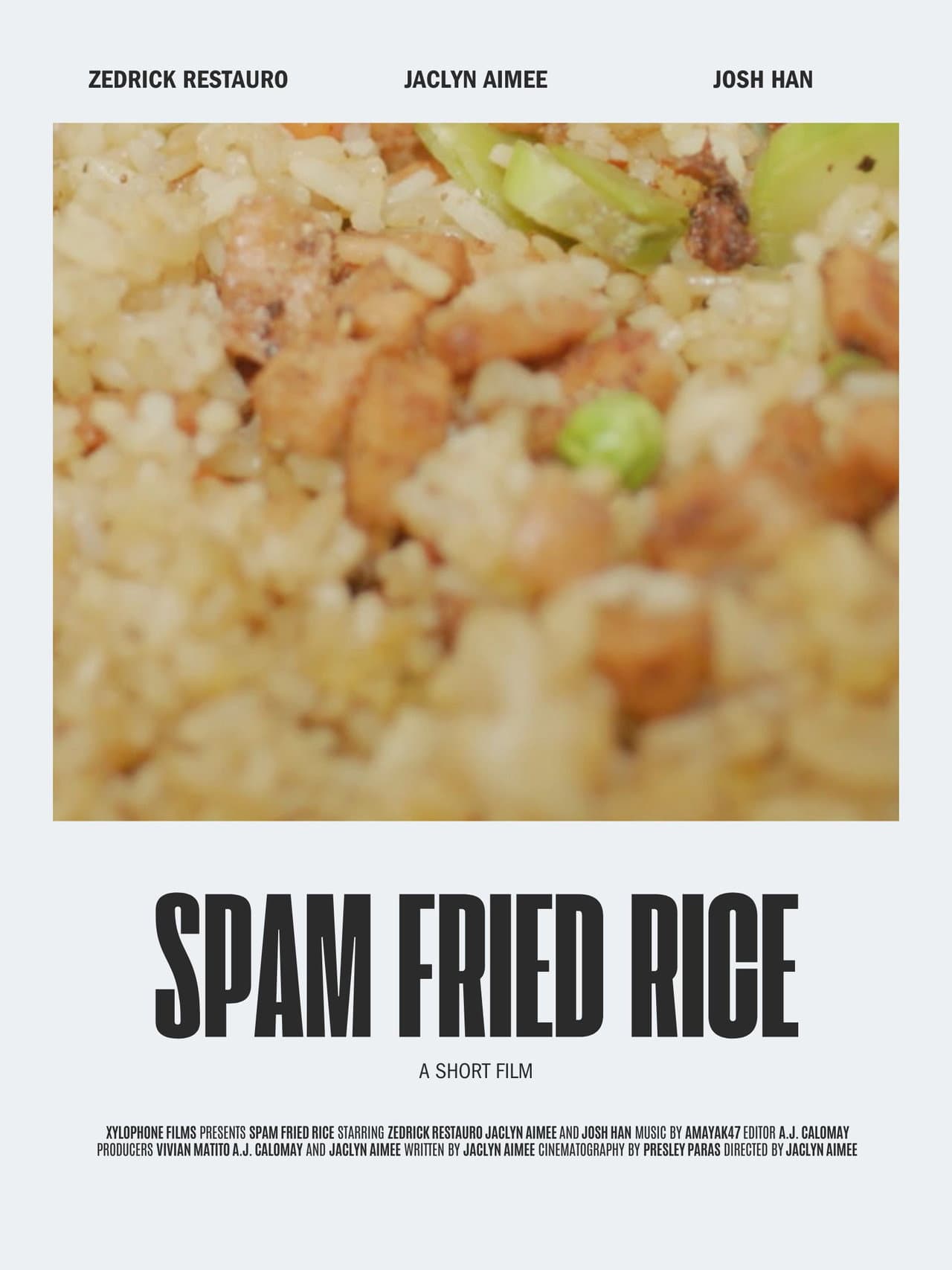 Spam Fried Rice preview 1