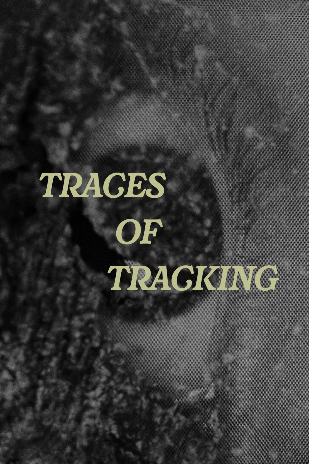 Traces of Tracking preview 2