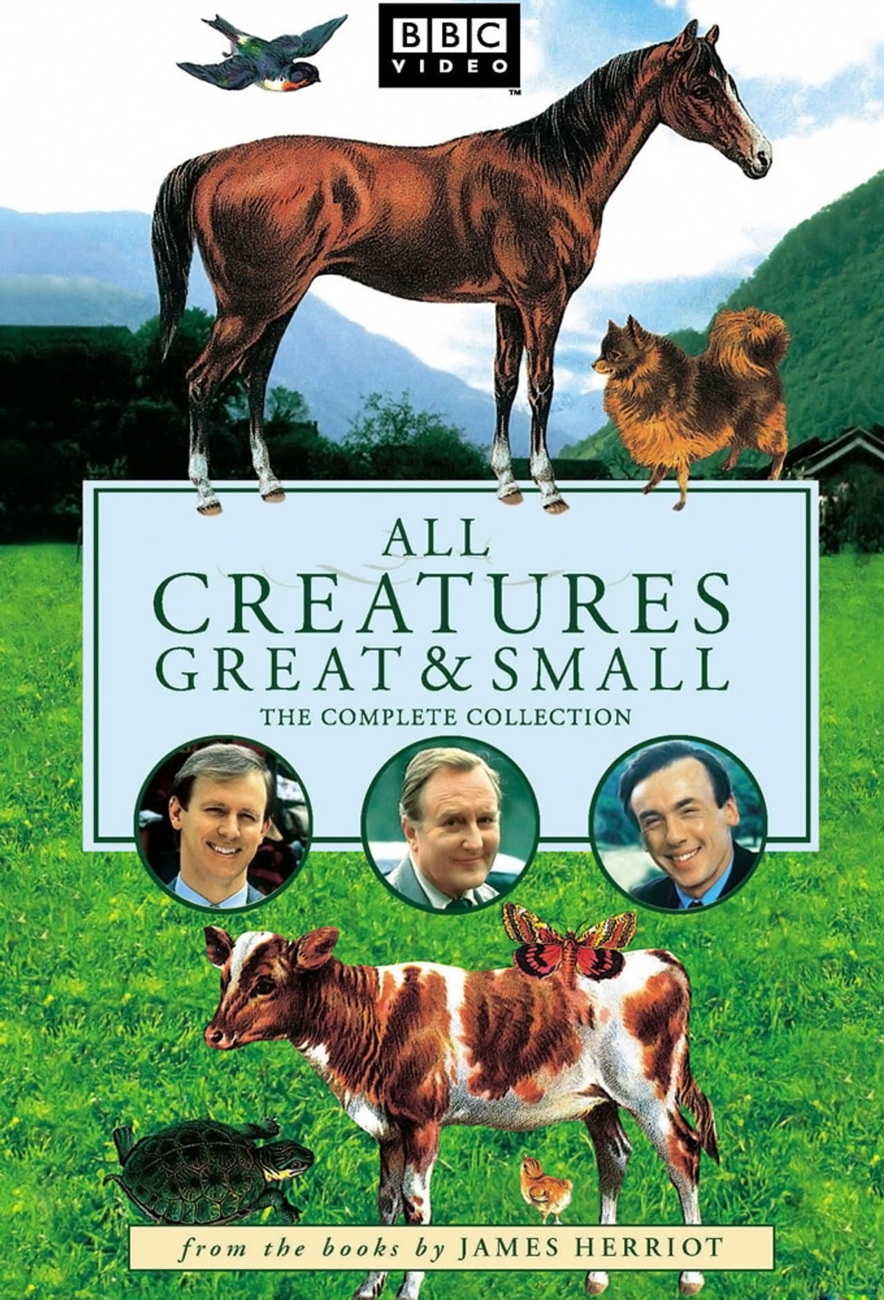 All Creatures Great and Small preview 2