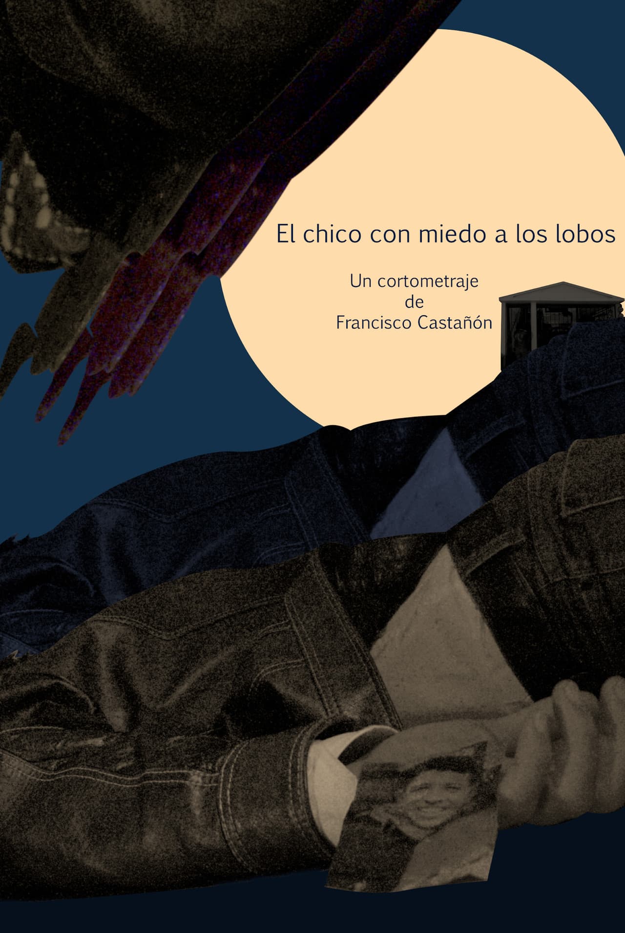 El chico con miedo a los lobos preview 2