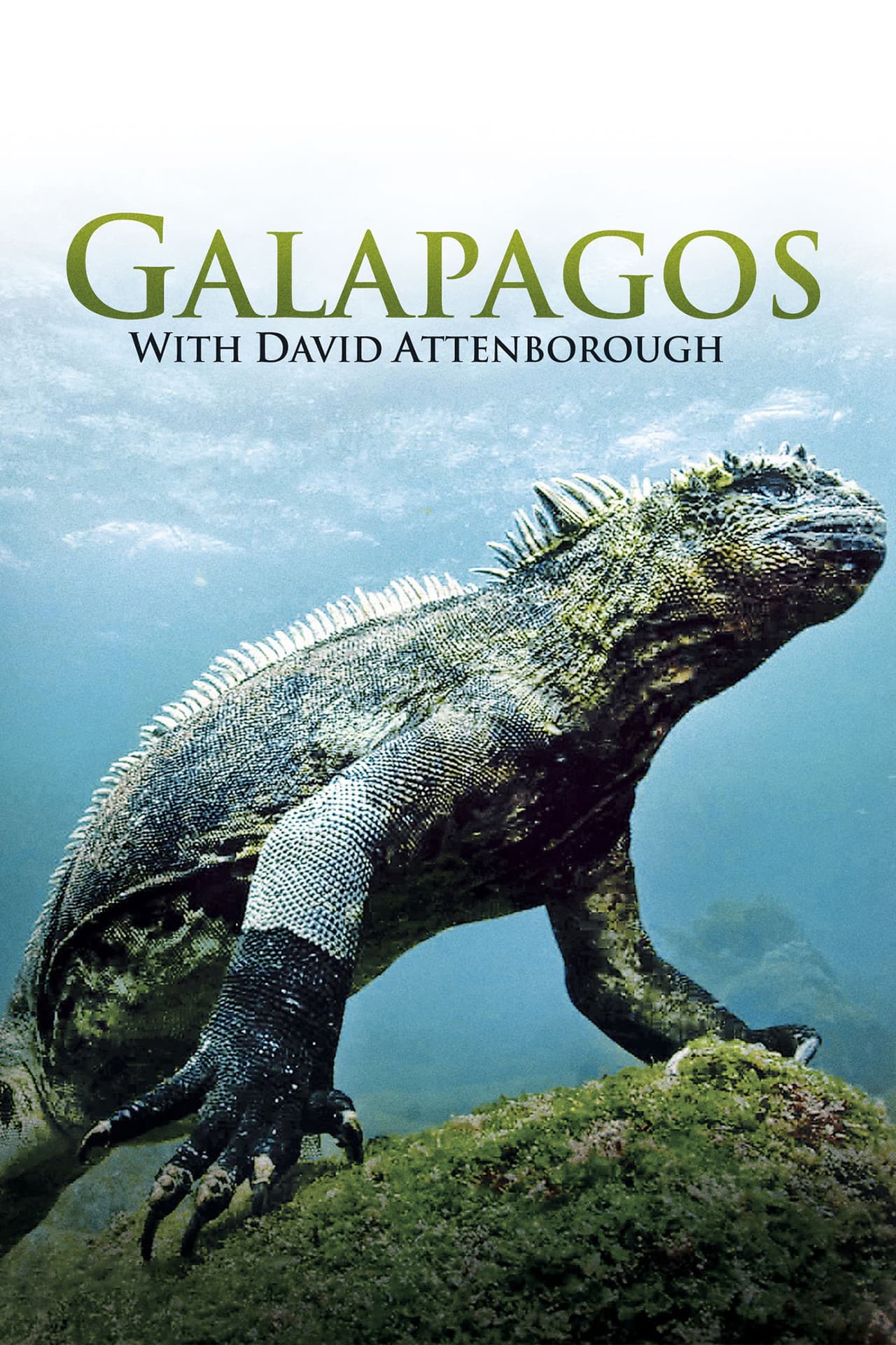 Galapagos 3D with David Attenborough preview 2