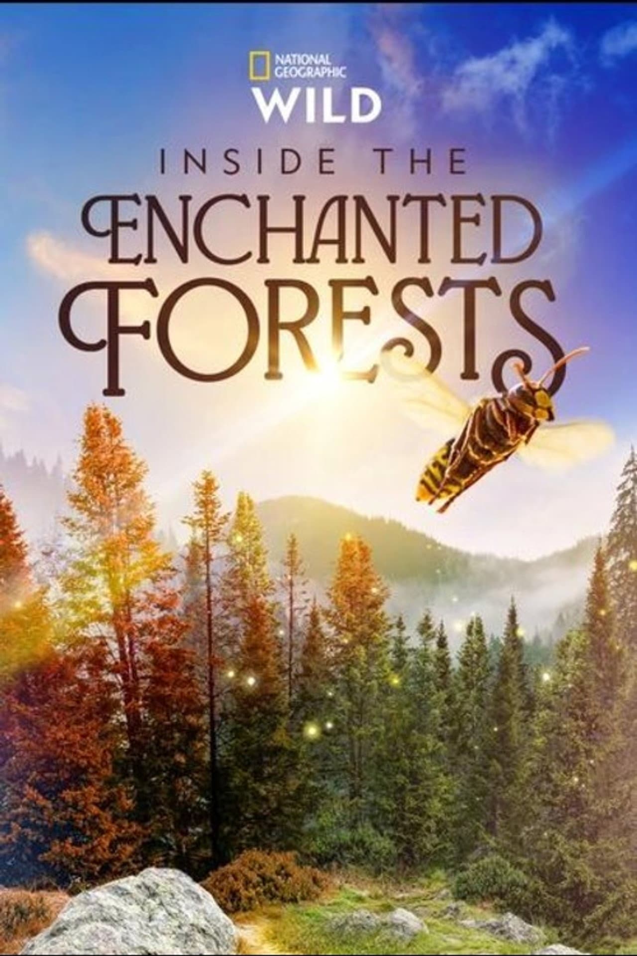 Inside the Enchanted Forests preview 2