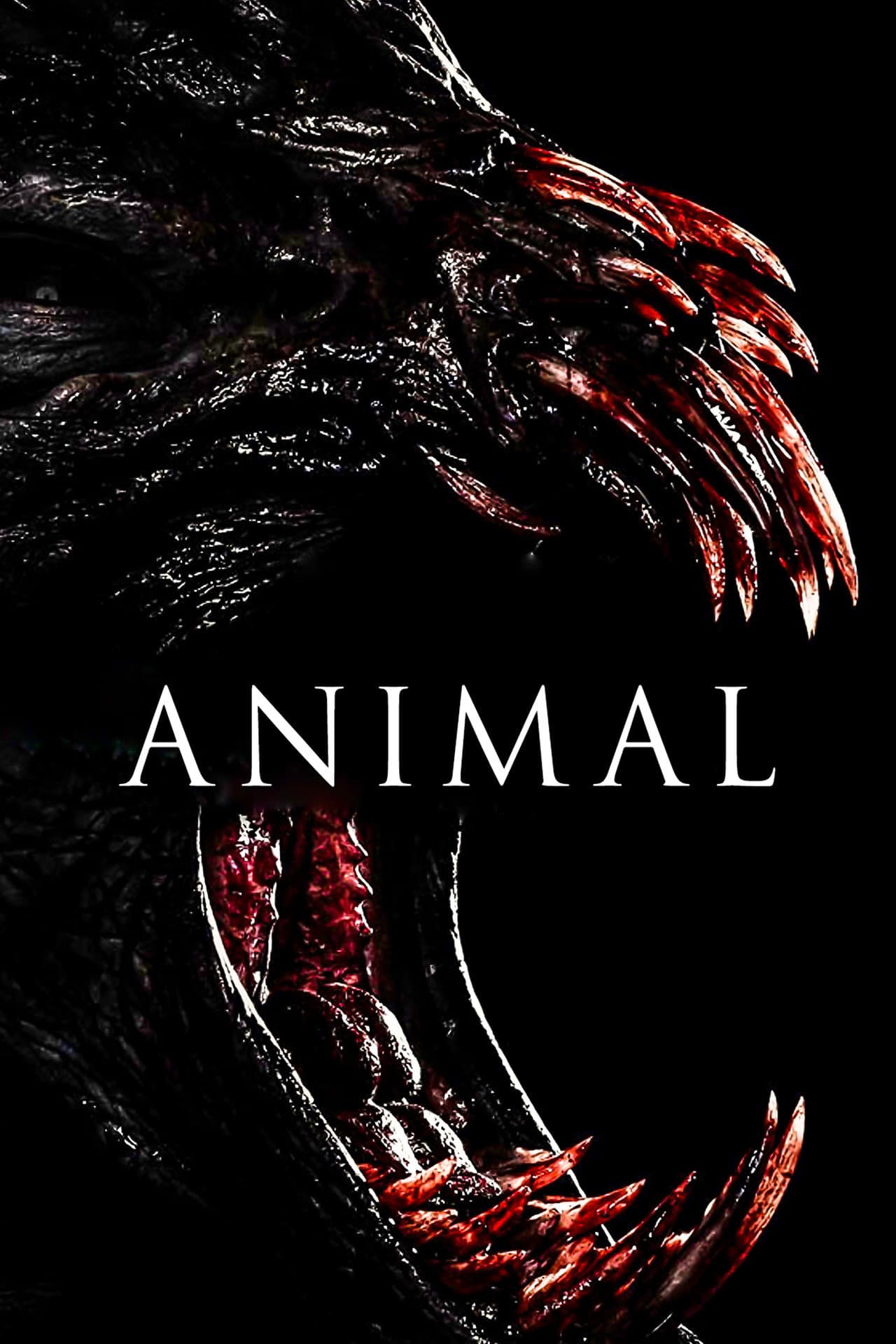 Animal preview 2