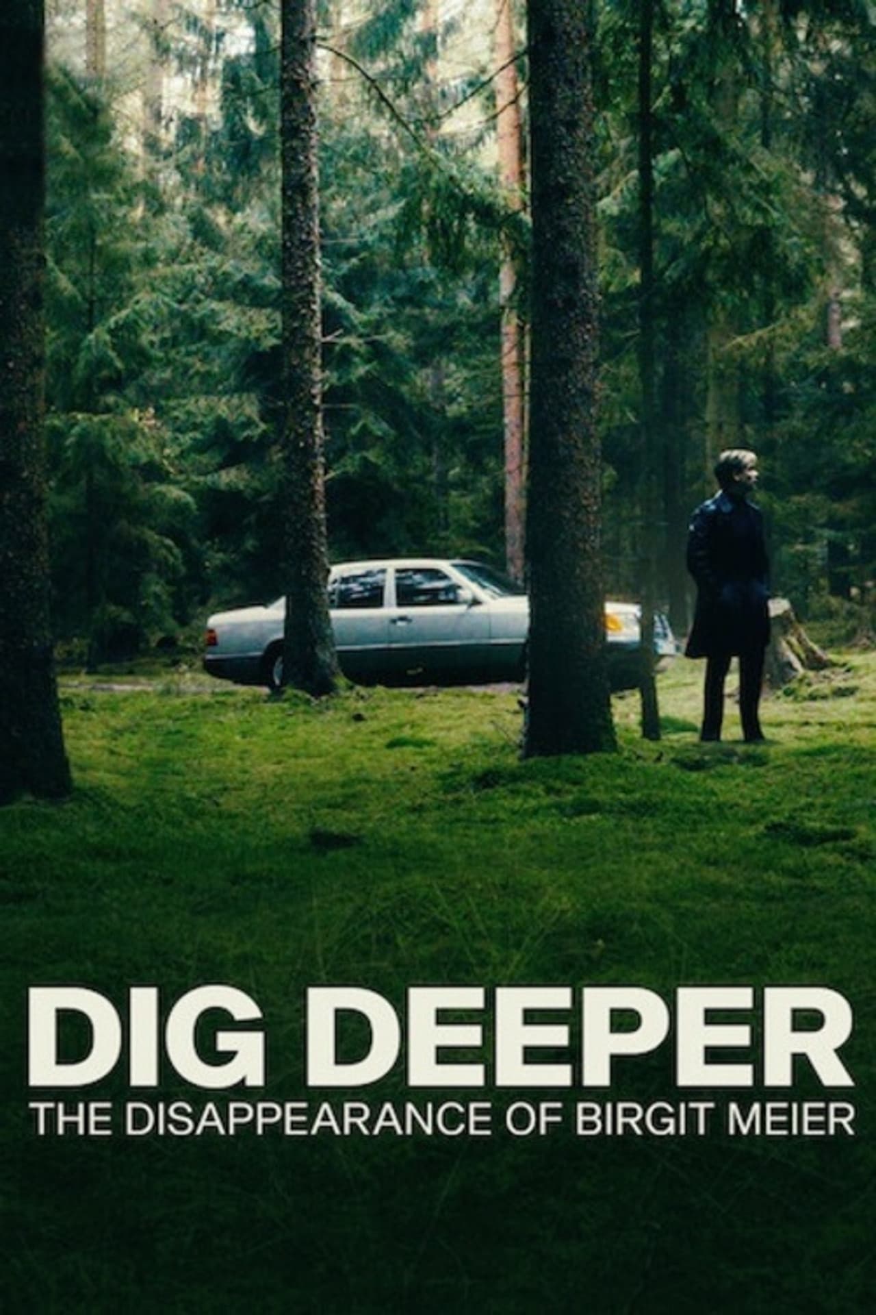 Dig Deeper: The Disappearance of Birgit Meier preview 2
