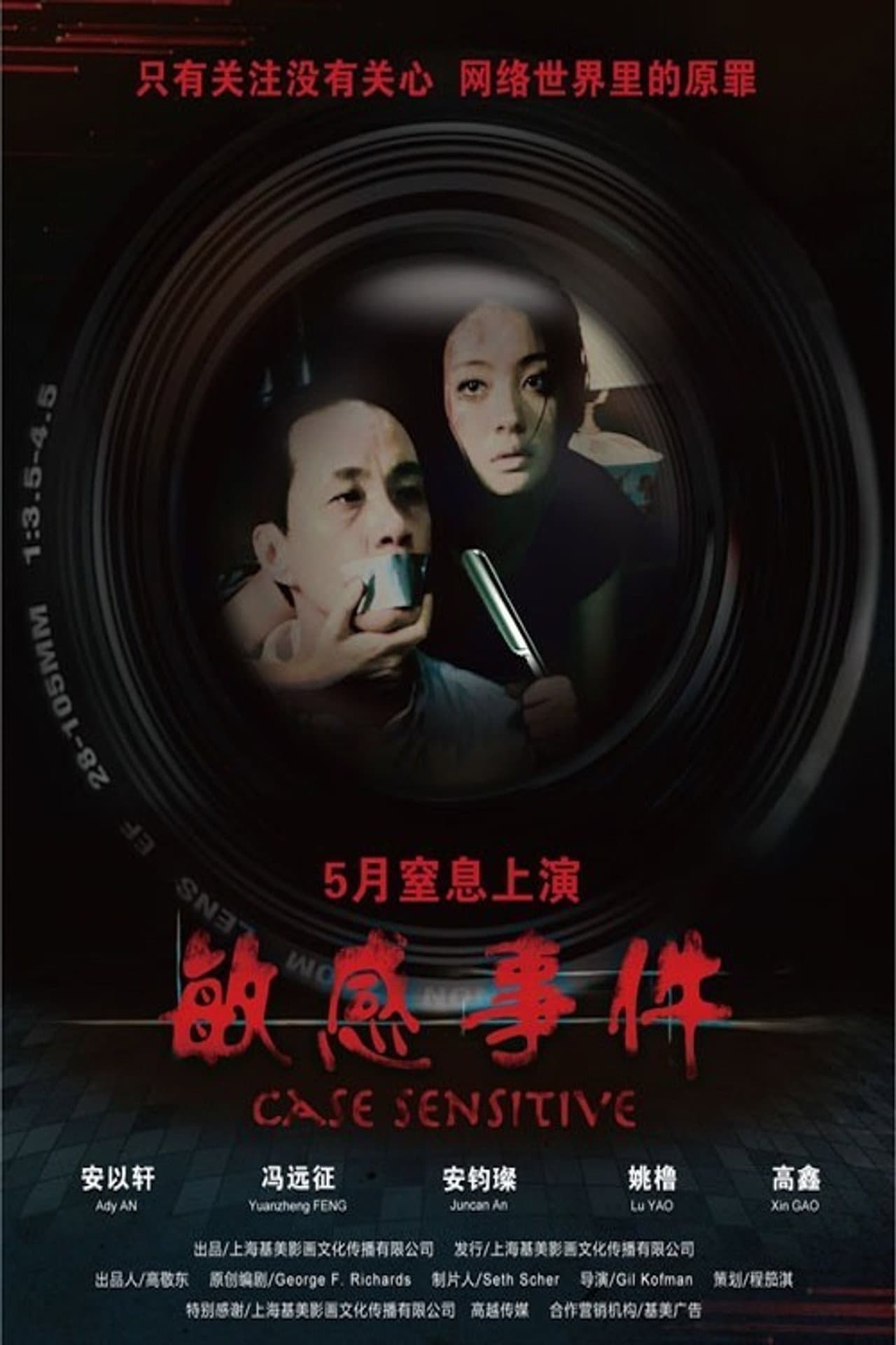Case Sensitive preview 1