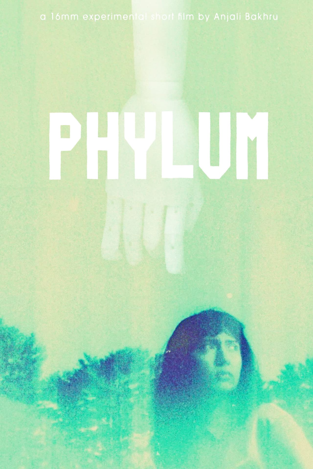 Phylum preview 2