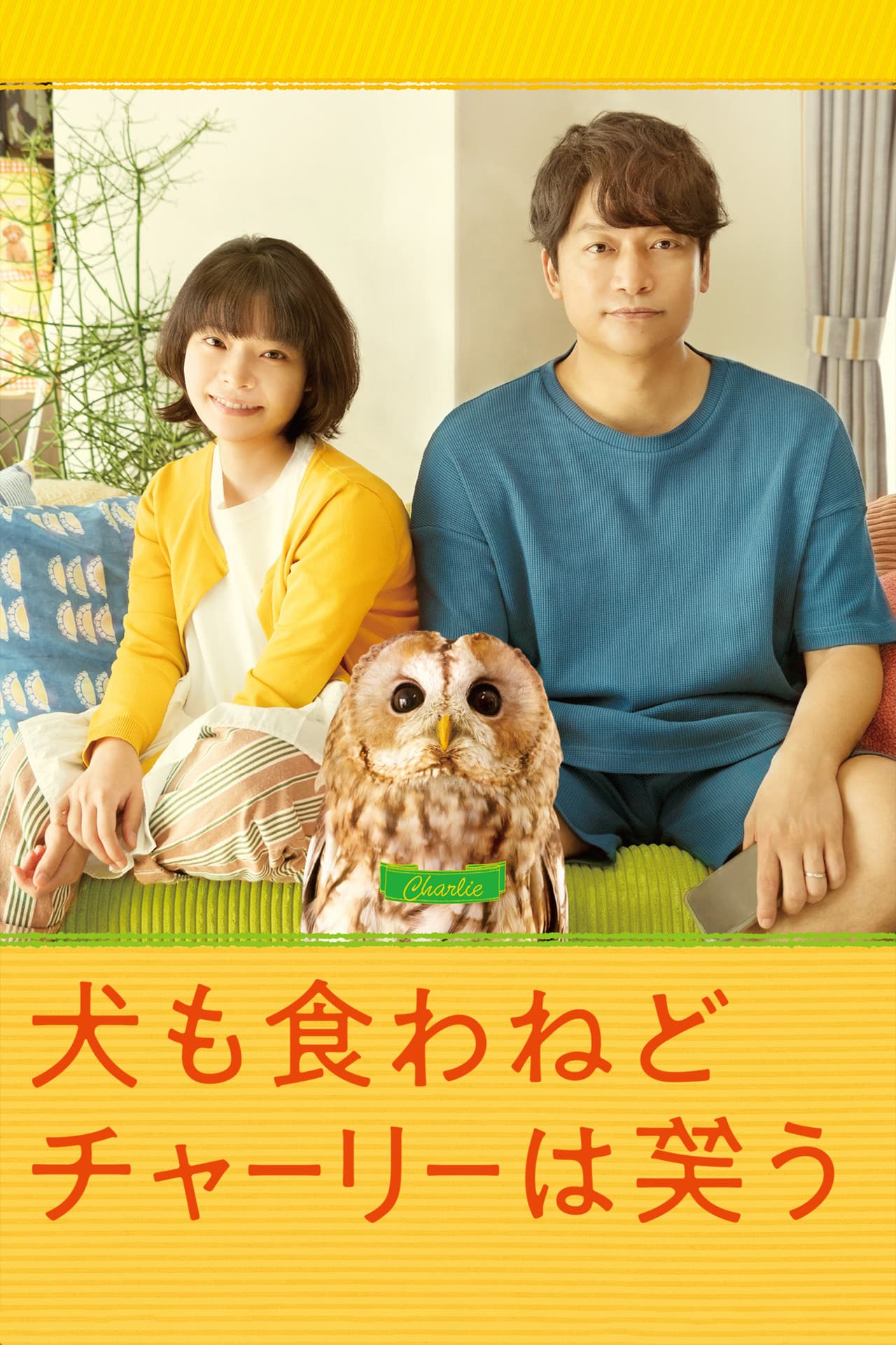 Everything Will Be Owlright! preview 2