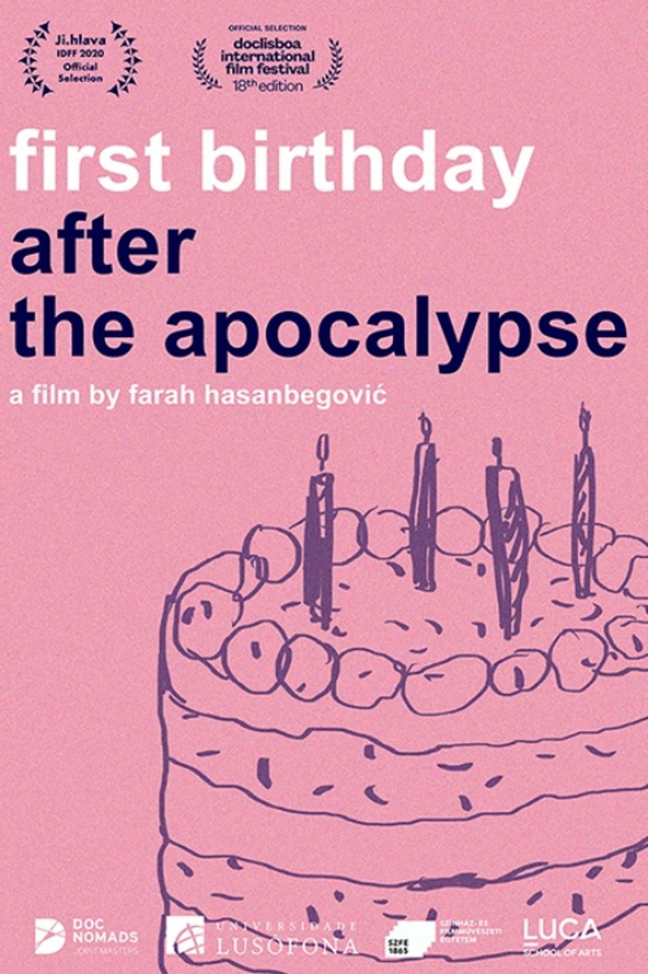 First Birthday After the Apocalypse preview 2