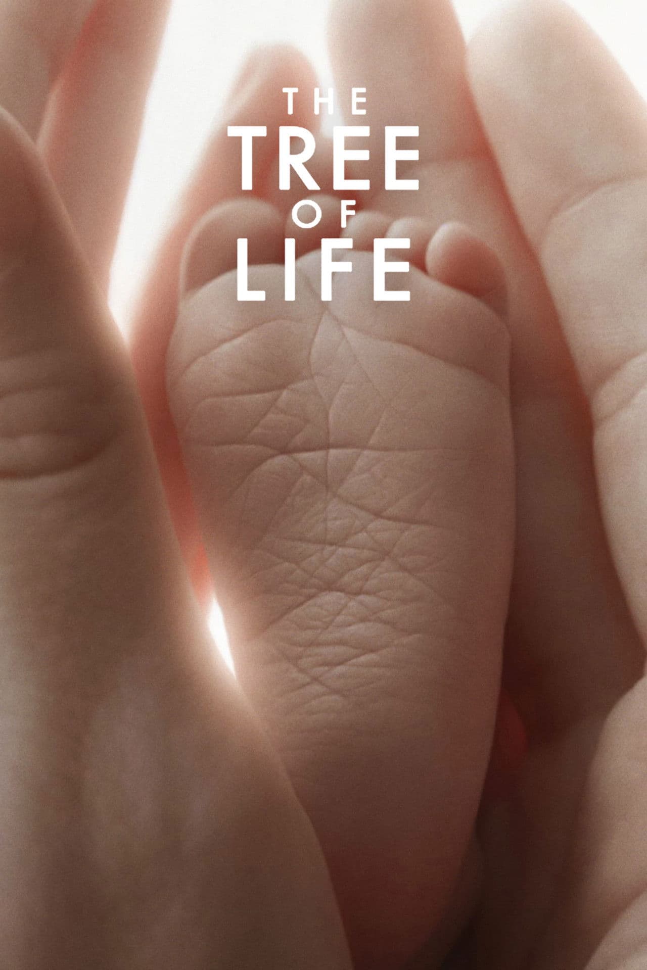 The Tree of Life preview 2