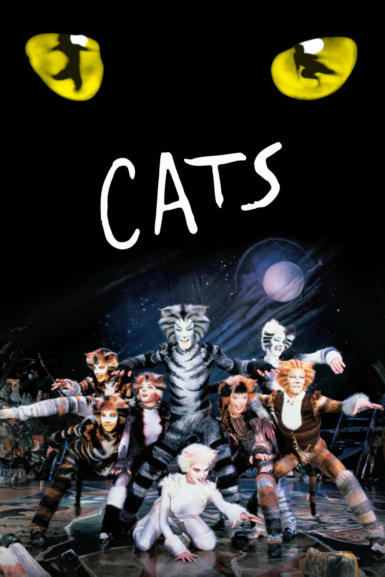 Cats preview 2