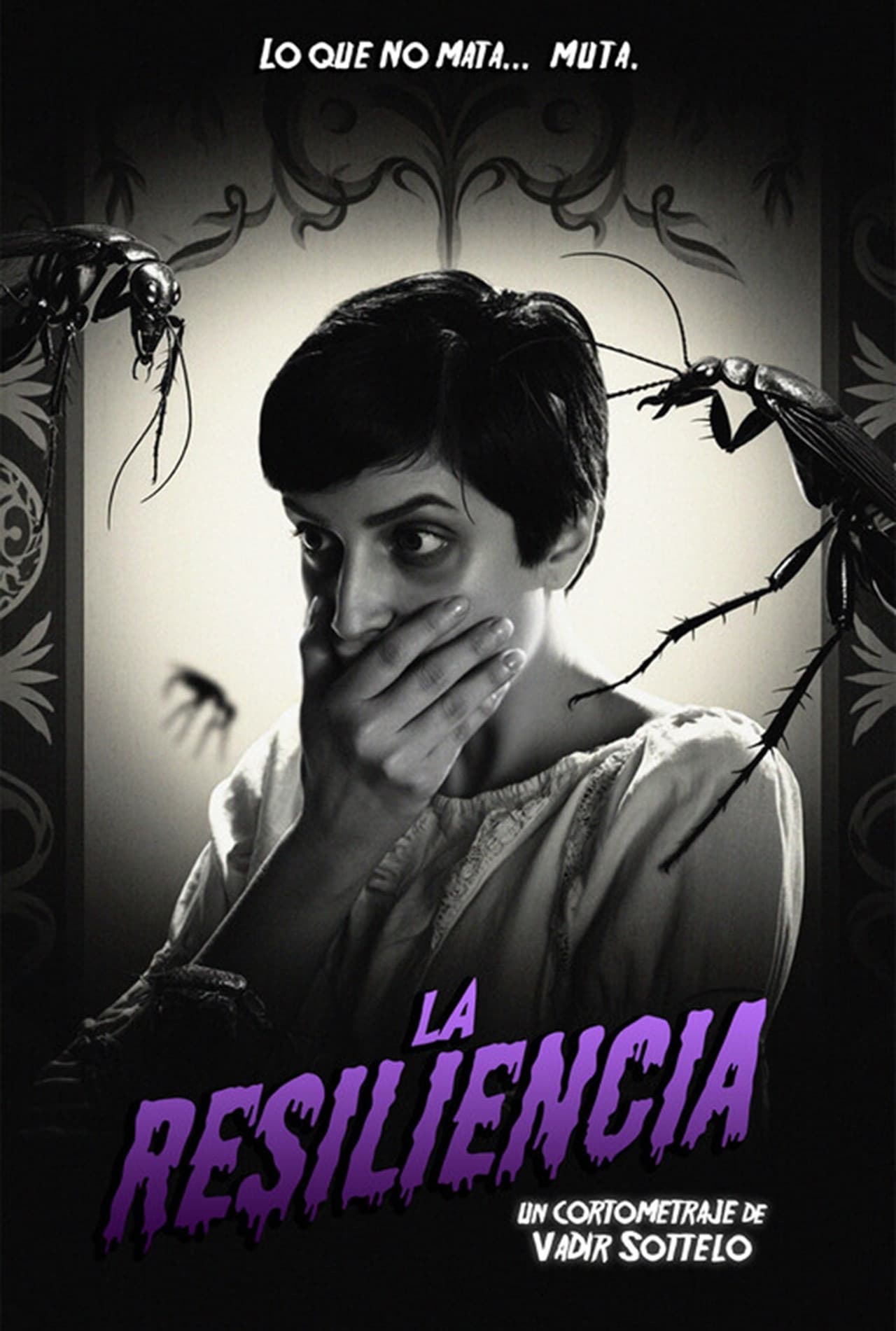 La resiliencia preview 2