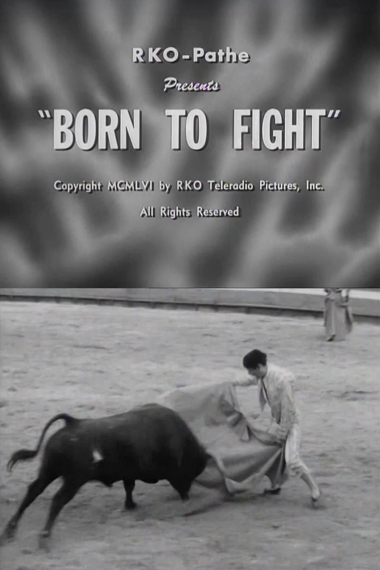 Born to Fight preview 2