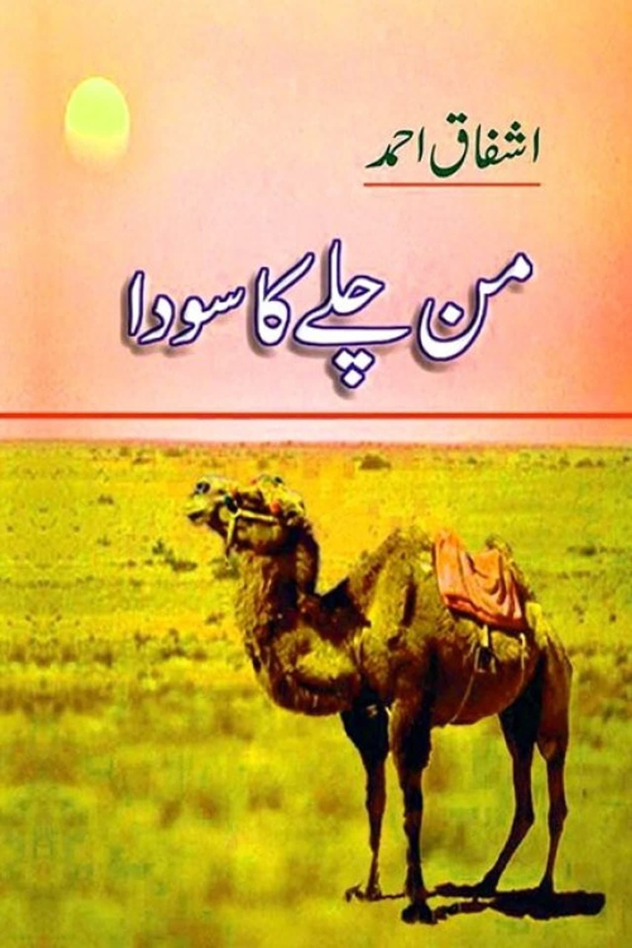Mann Chalay Ka Sauda preview 2