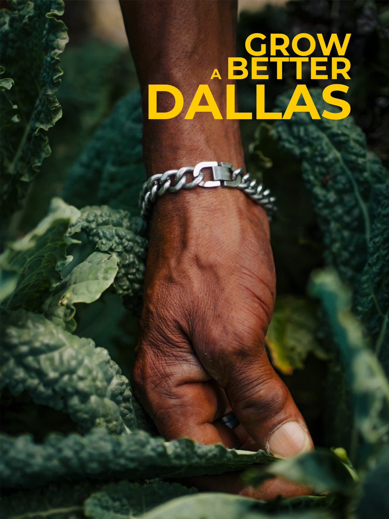 Grow a Better Dallas preview 2