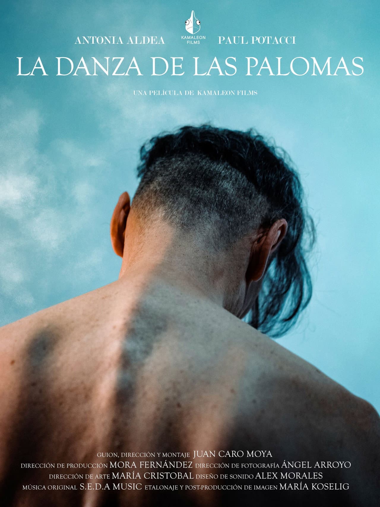 La danza de las palomas preview 2