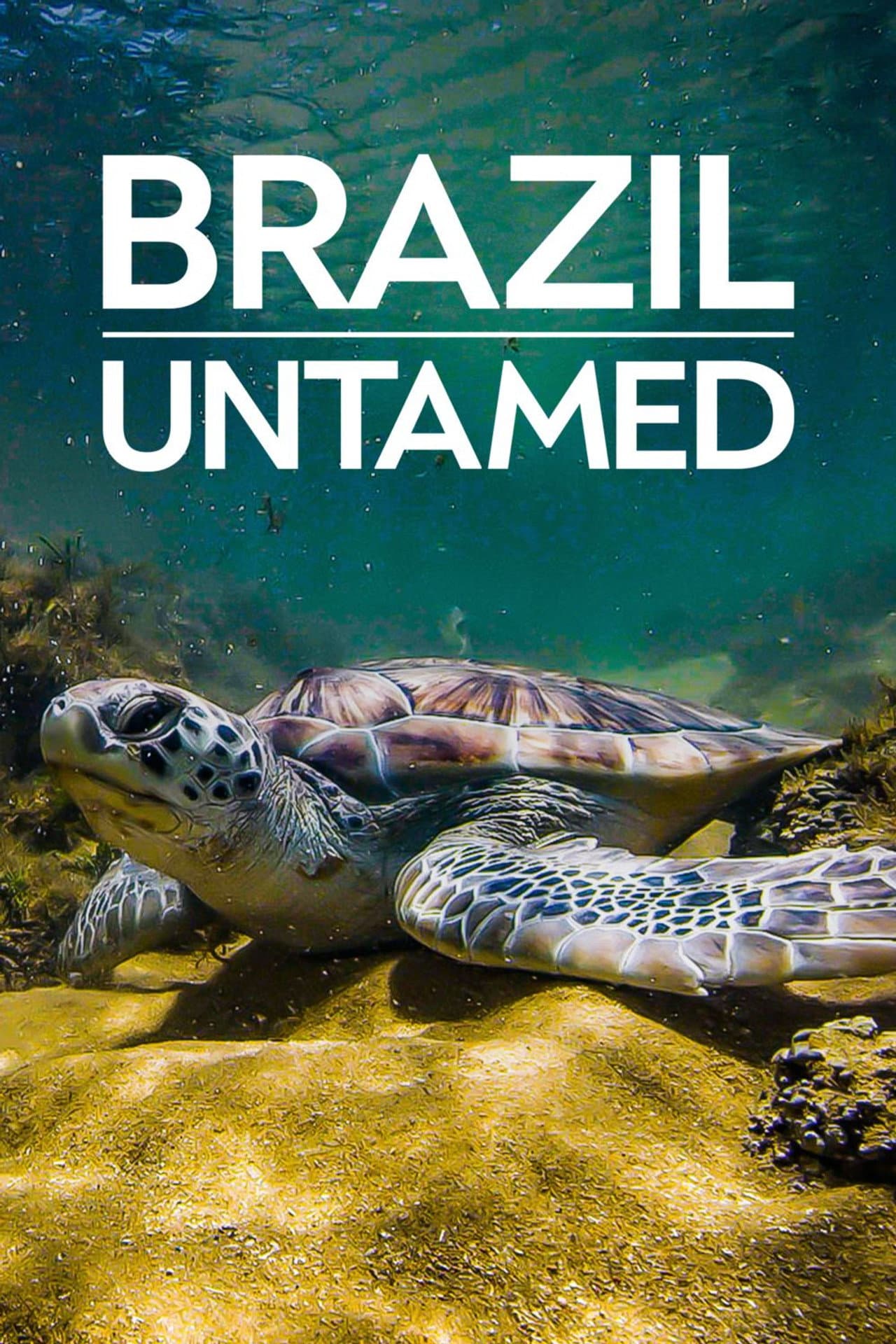 Brazil Untamed preview 2