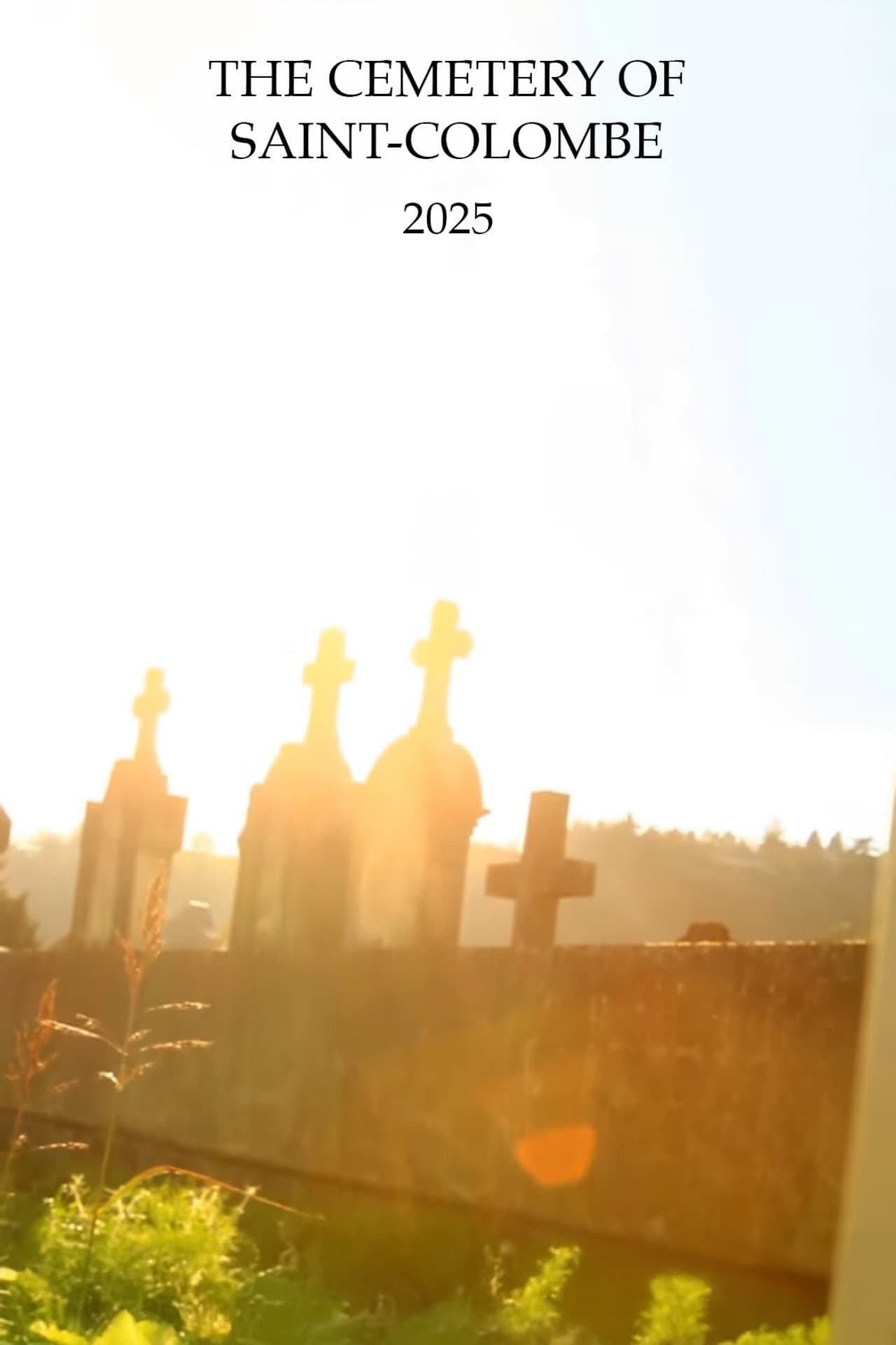 The Cemetery of Sainte-Colombe preview 1