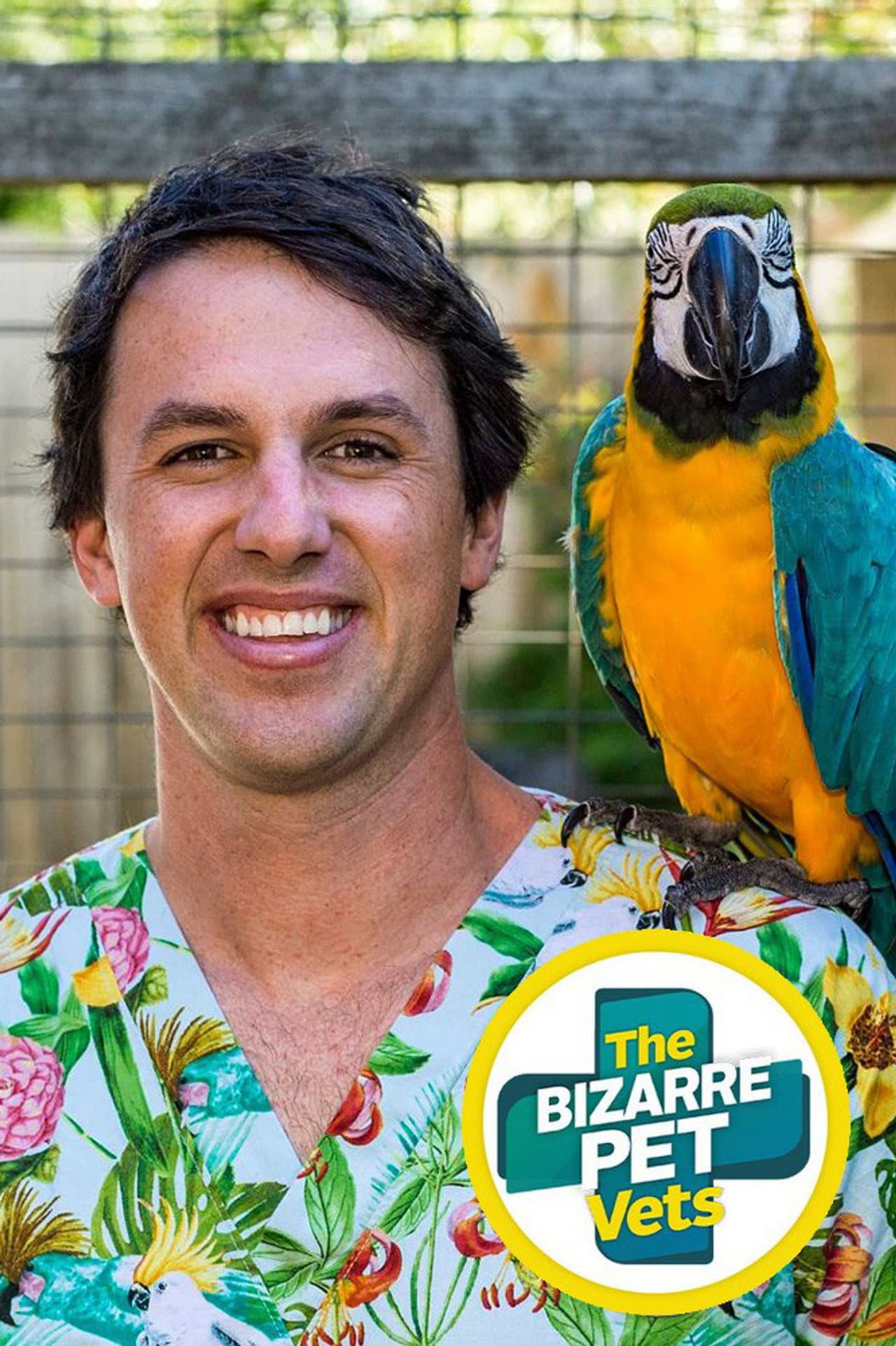 The Bizarre Pet Vets preview 2
