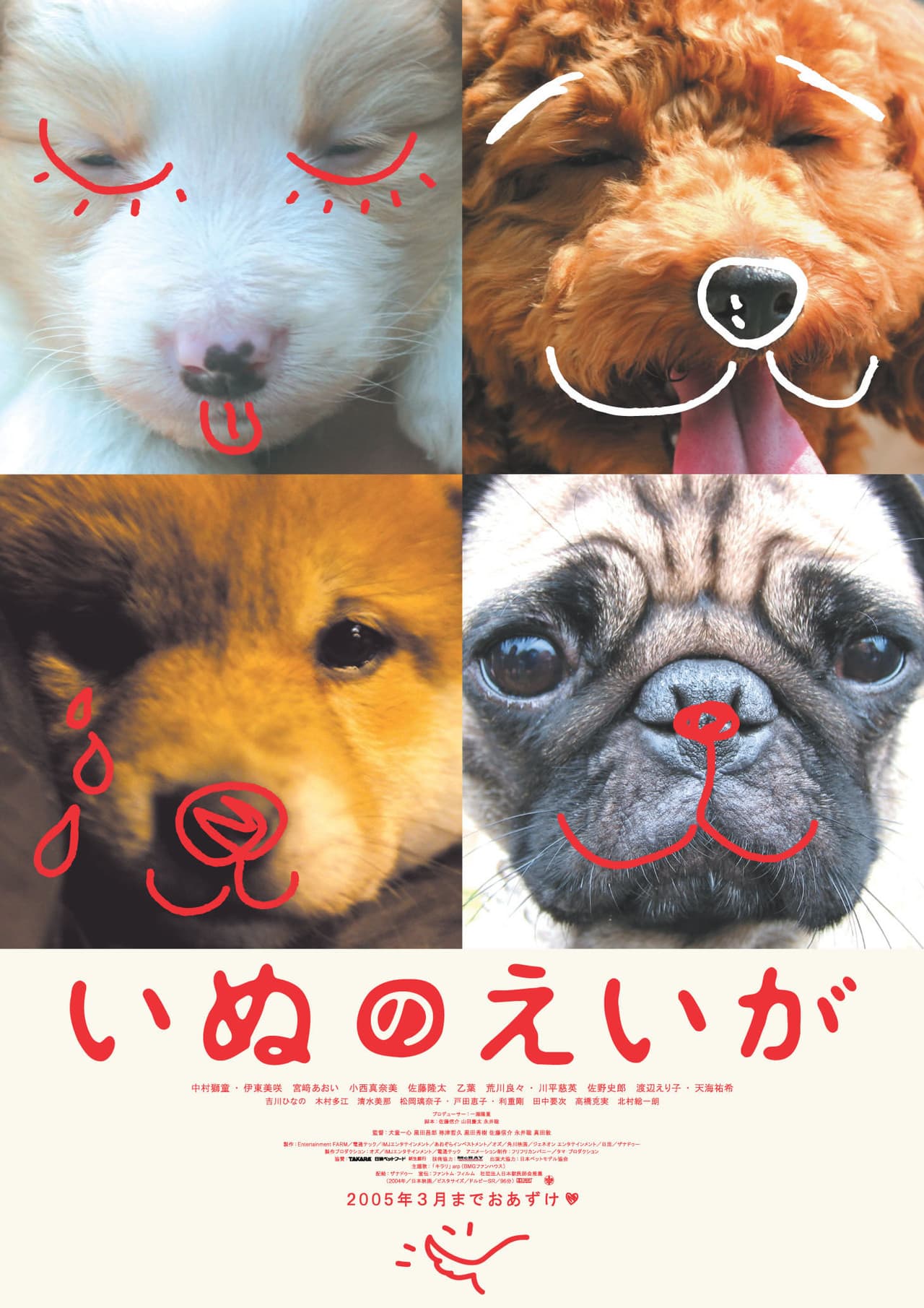 All About My Dog preview 2