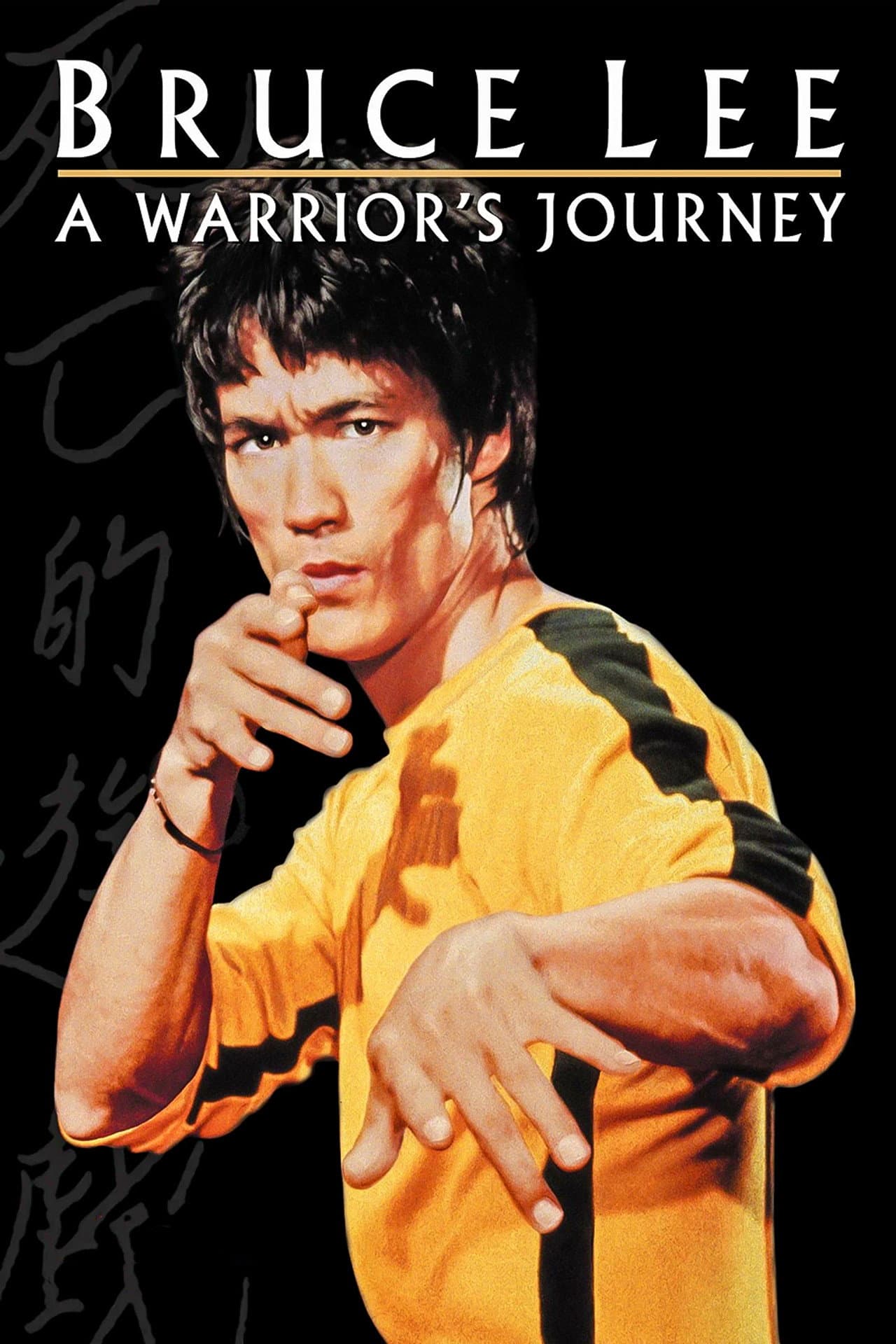 Bruce Lee: A Warrior's Journey preview 2