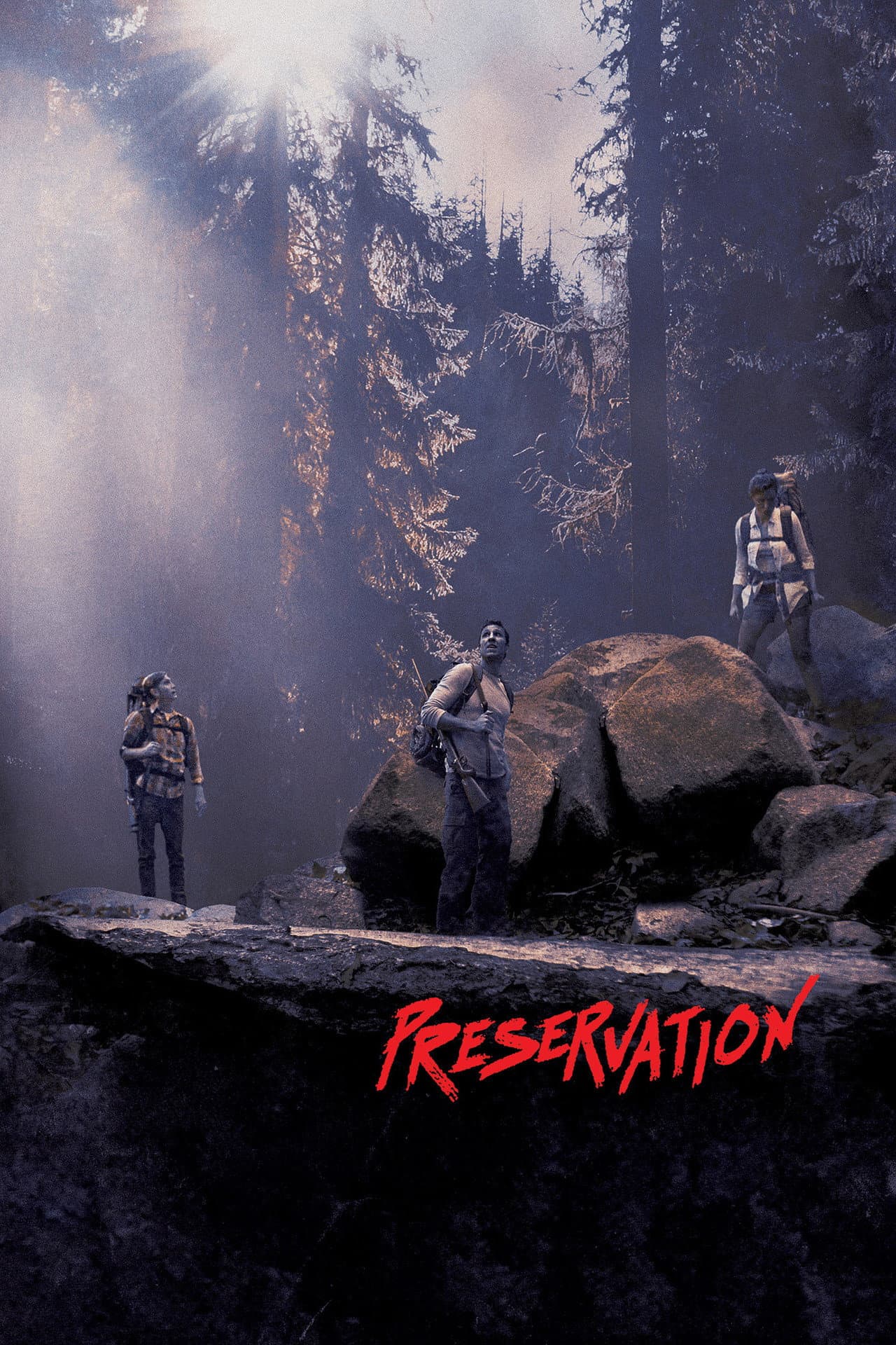 Preservation preview 2