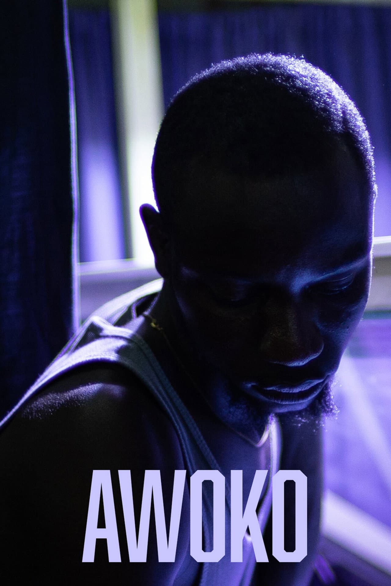 Awoko preview 2