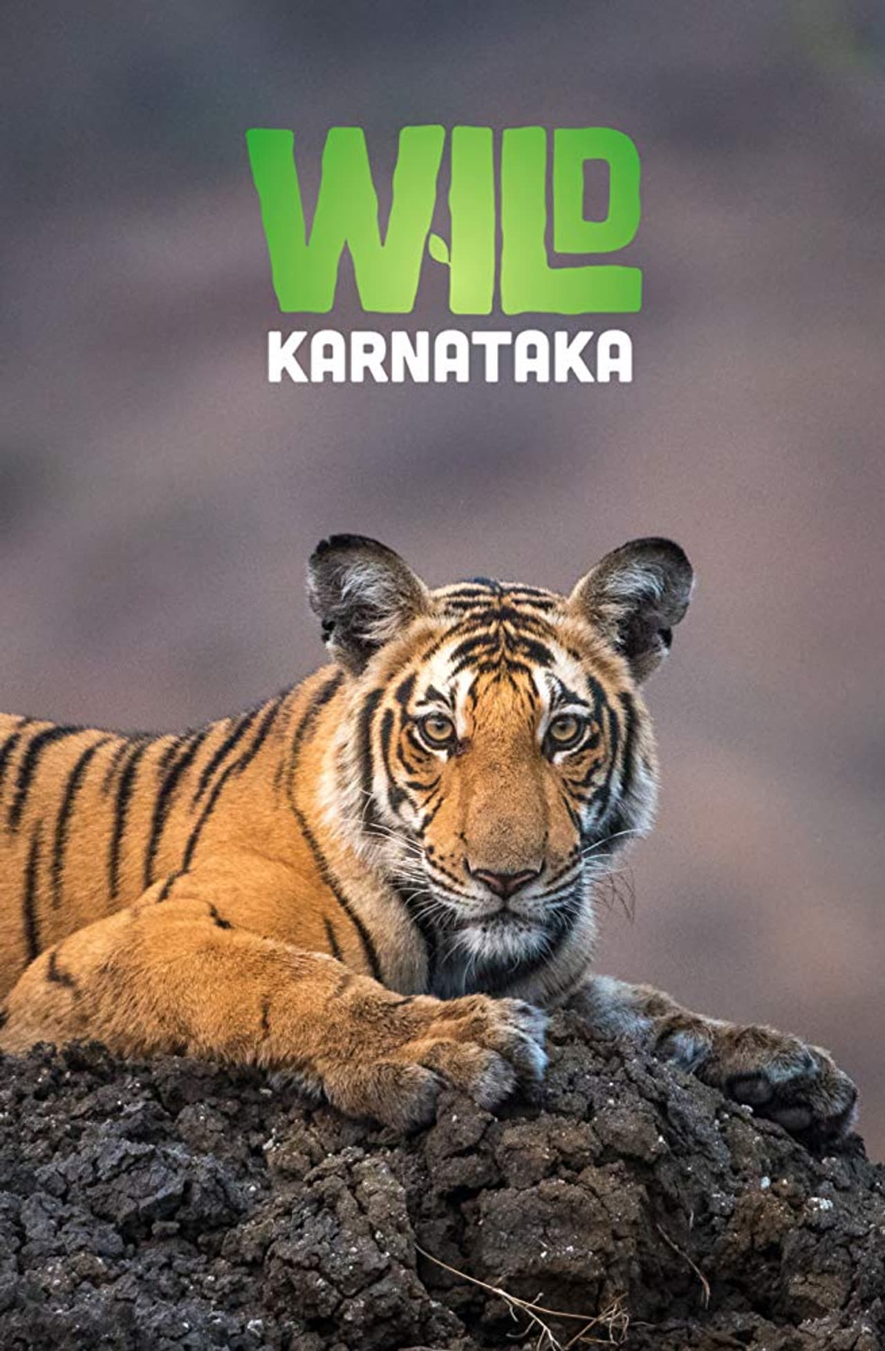 Wild Karnataka preview 2