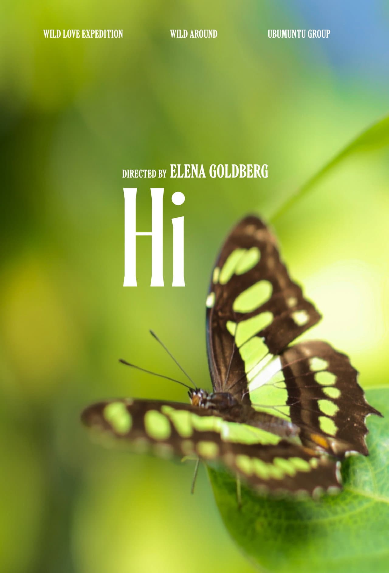 Hi (2025/II) preview 1