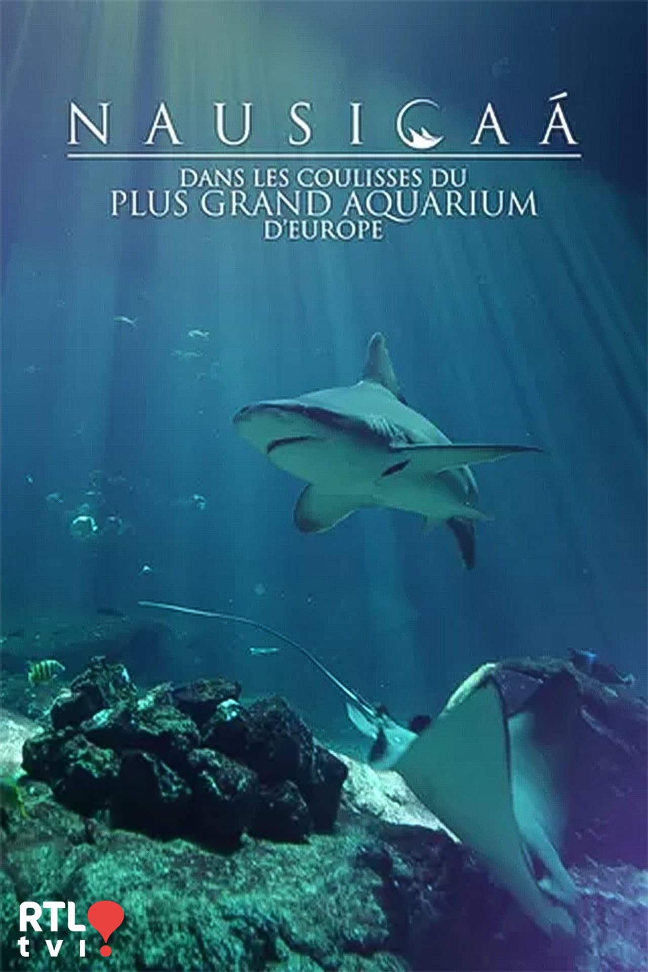 Nausicaá : Dans les coulisses du plus grand aquarium d'Europe preview 2