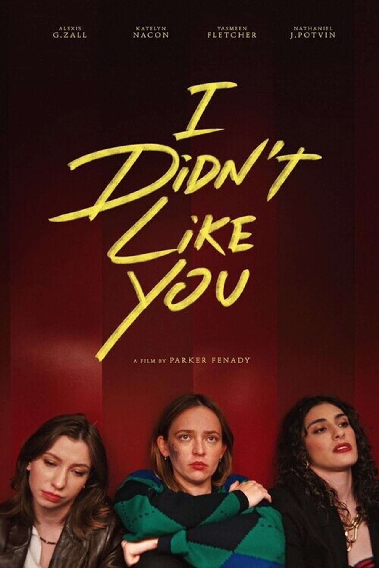 I Didn't Like You preview 1
