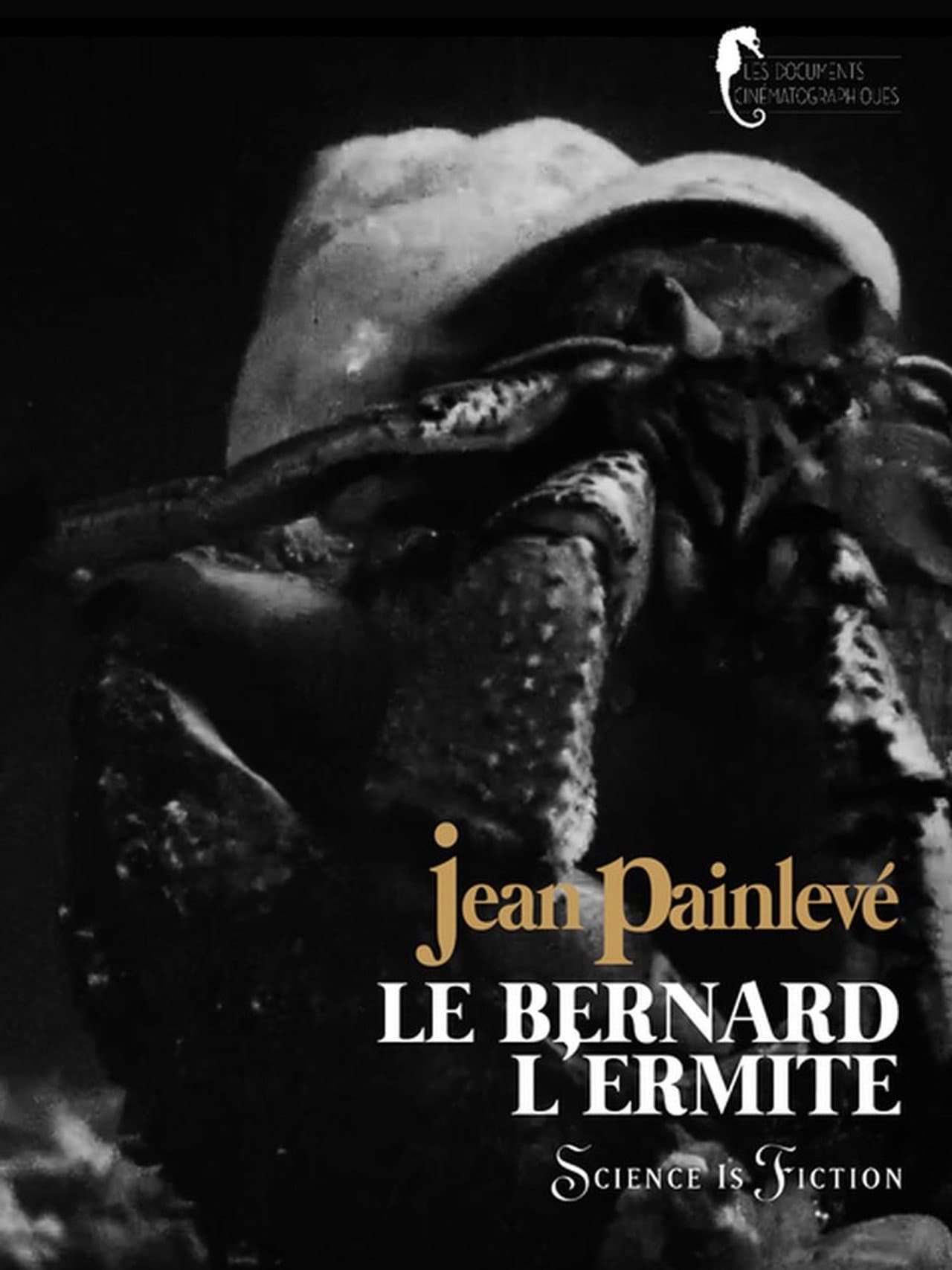 Hermit crab preview 1