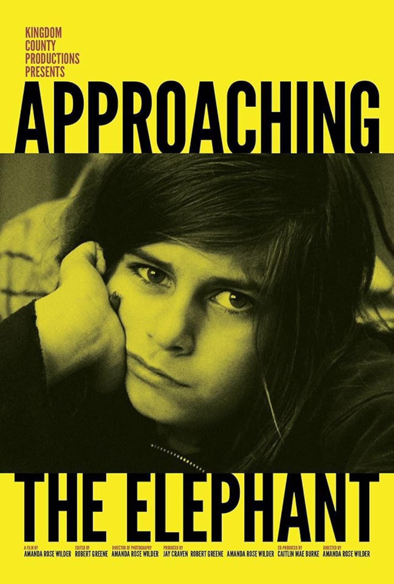 Approaching the Elephant preview 1