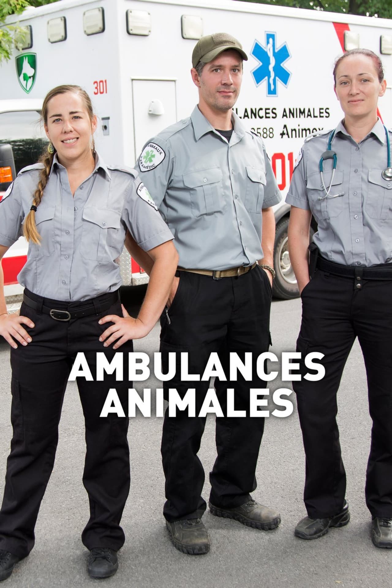 Ambulances animales preview 2