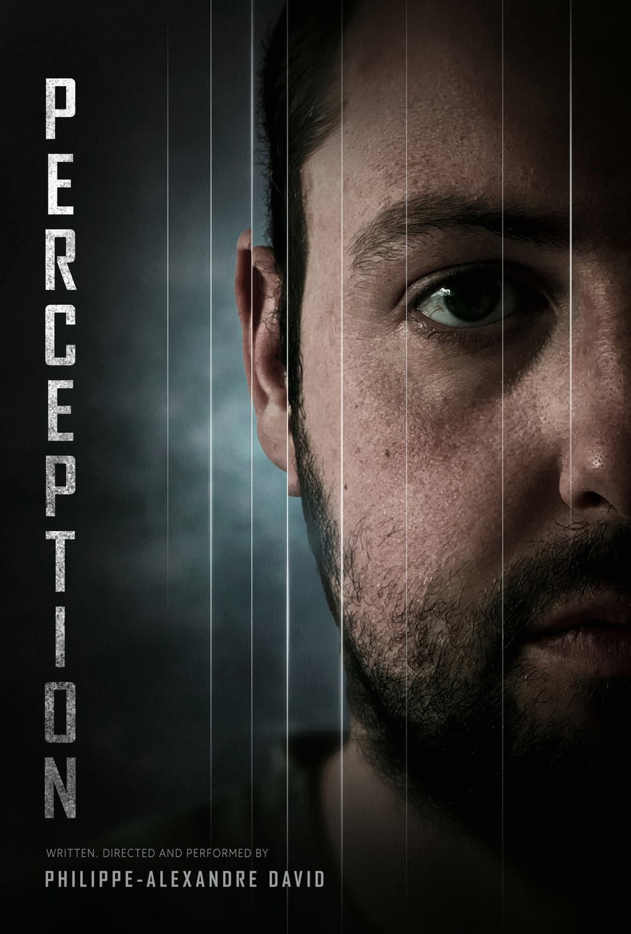 Perception preview 1