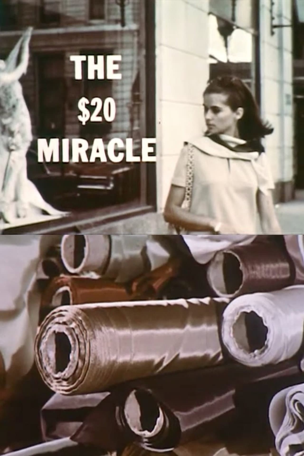 The Twenty Dollar Miracle preview 1