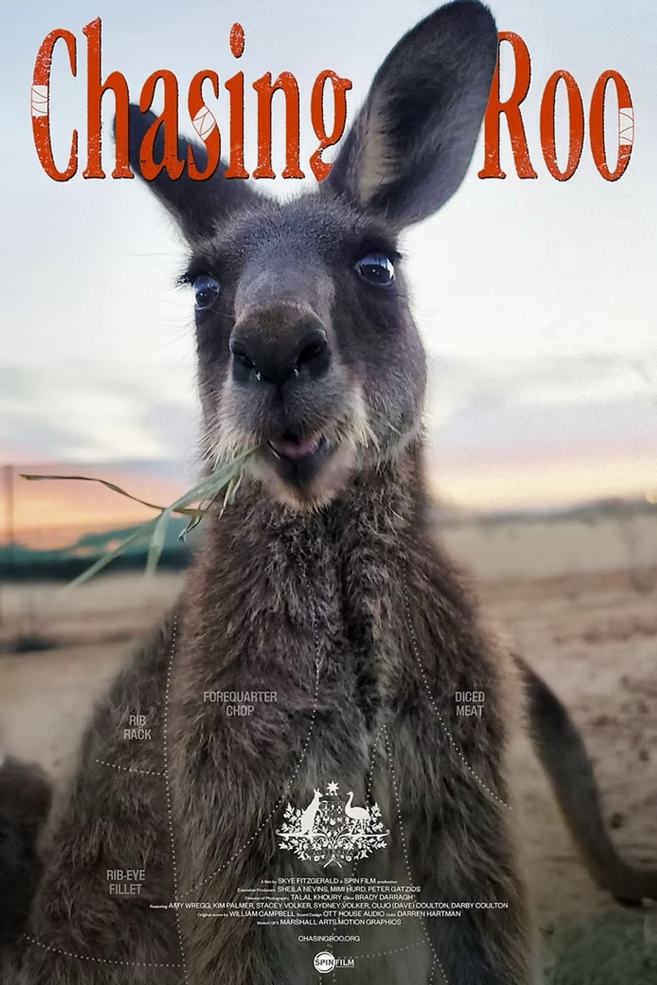 Chasing Roo preview 1