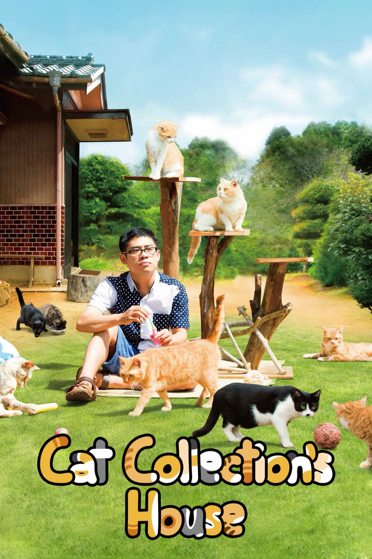 Neko Atsume House preview 2