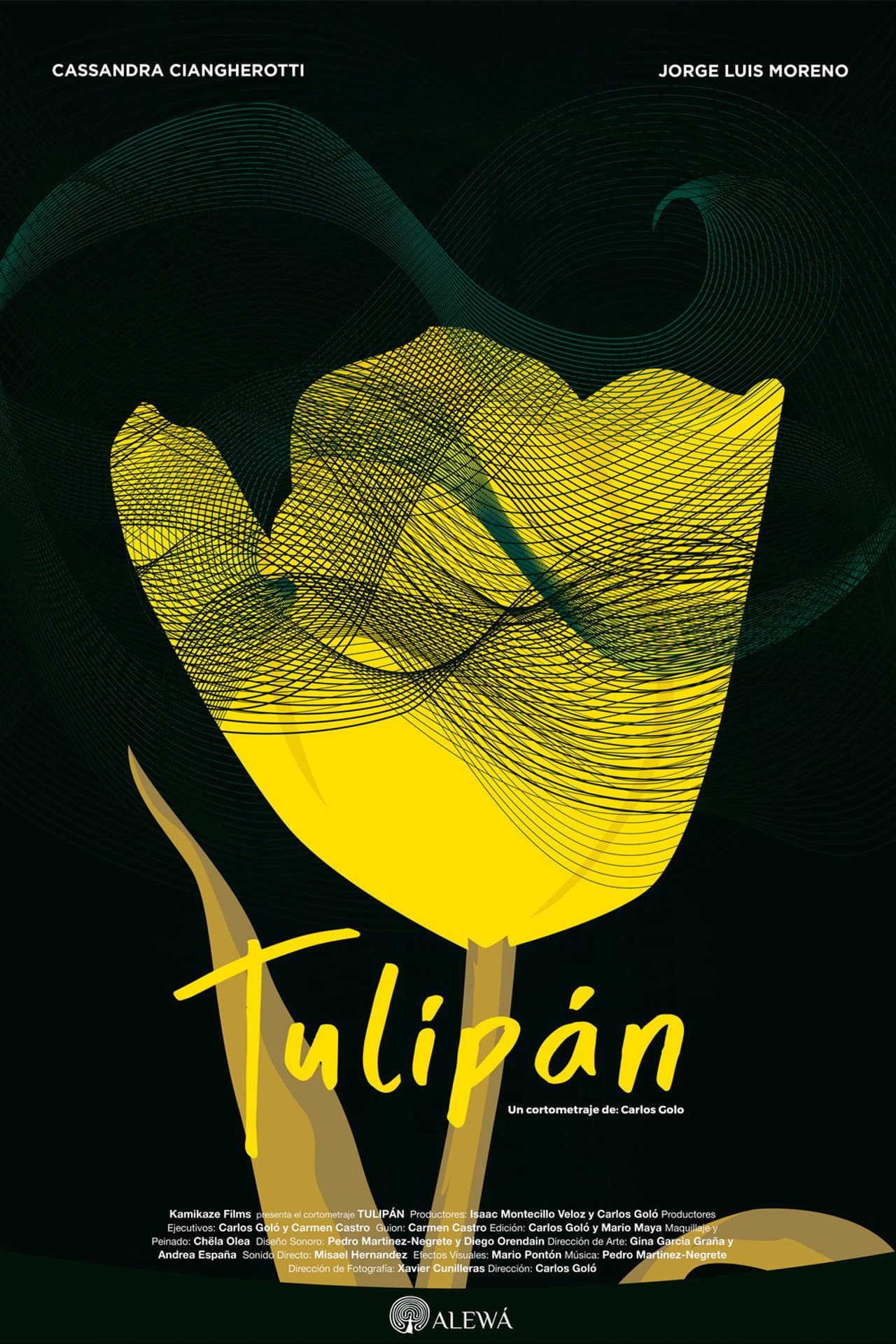Tulip preview 2
