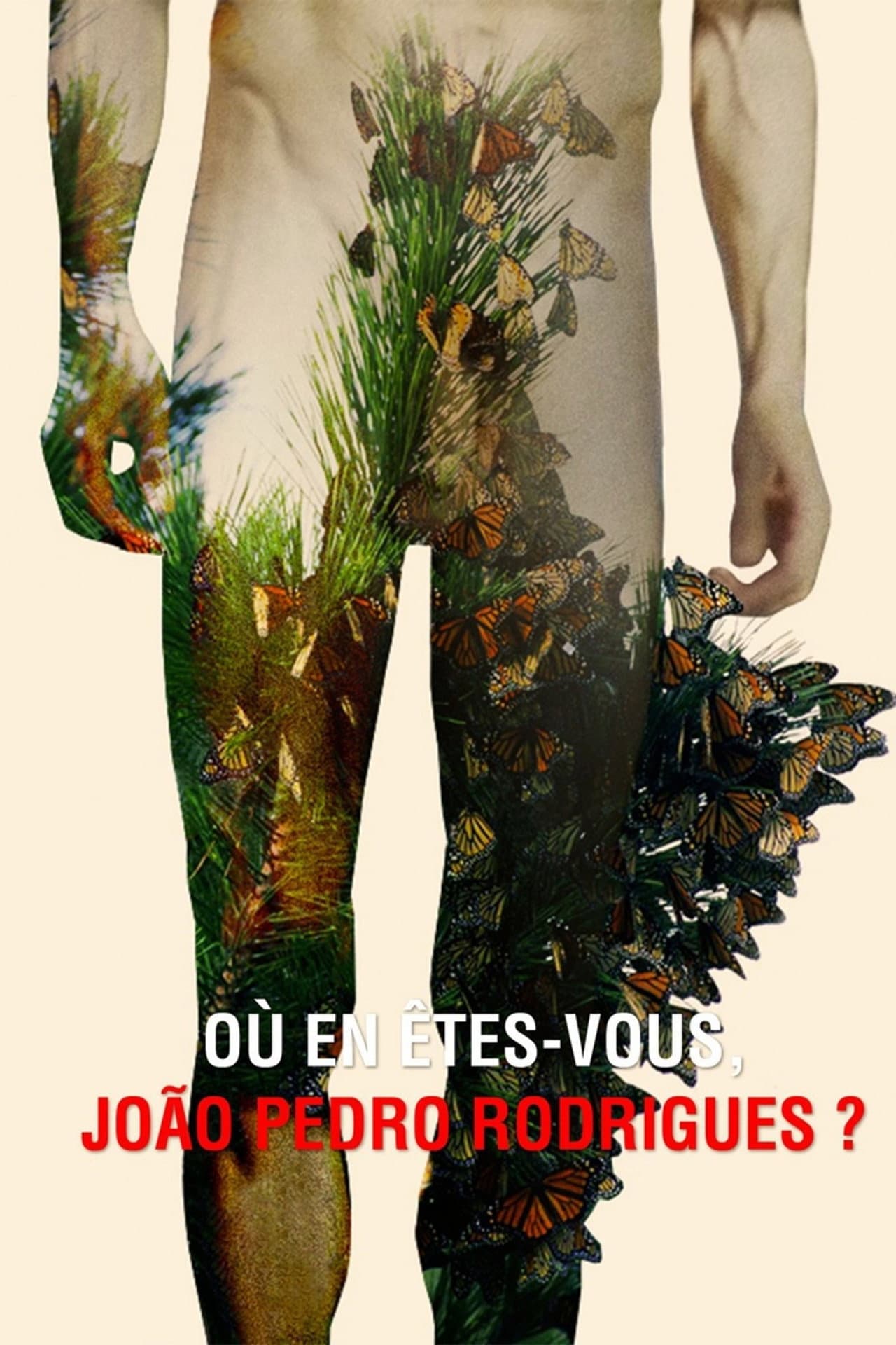 Where Do You Stand Now, João Pedro Rodrigues? preview 2