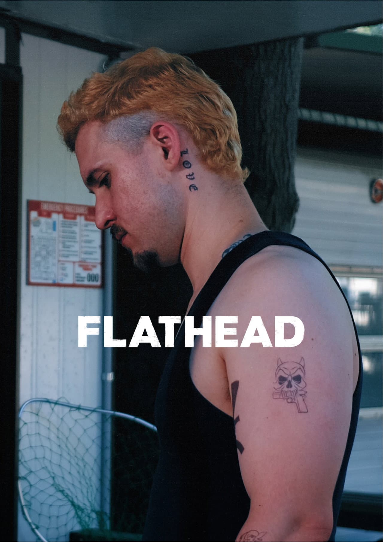 Flathead preview 2