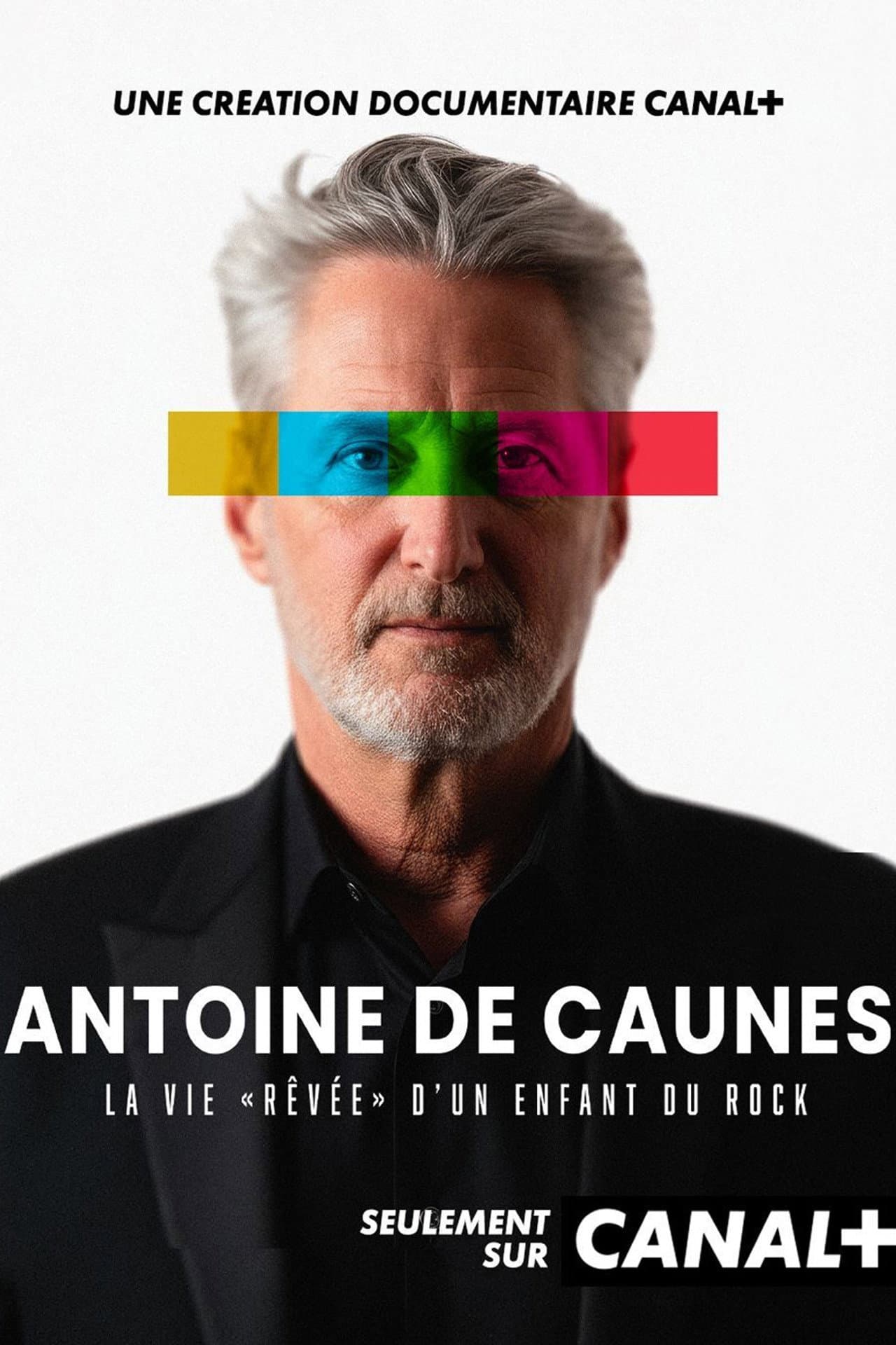 Antoine de Caunes : La vie rêvée d'un enfant du rock preview 2