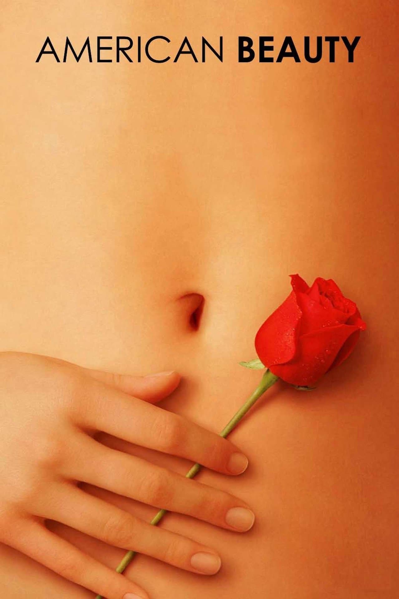 American Beauty preview 2