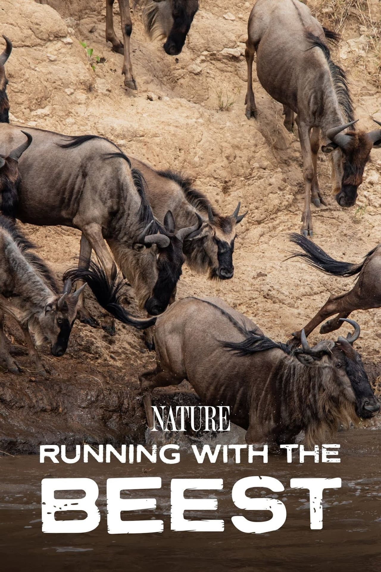 Running With The Beest preview 2