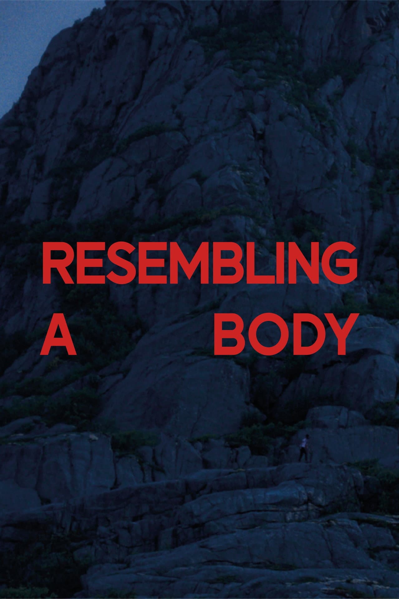 Resembling a Body preview 2