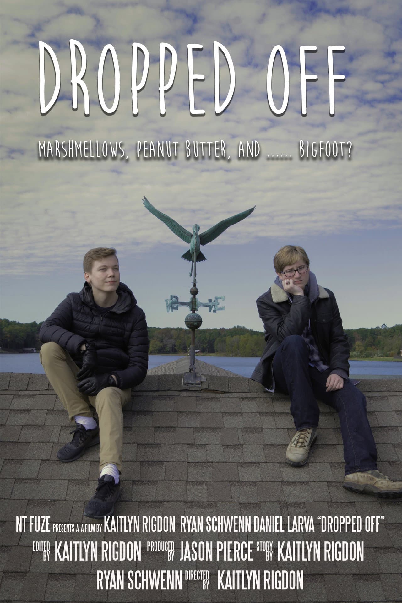 Dropped Off preview 2